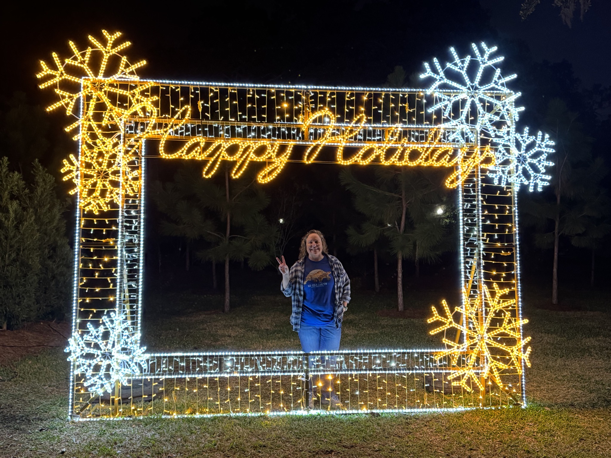 Holiday lights