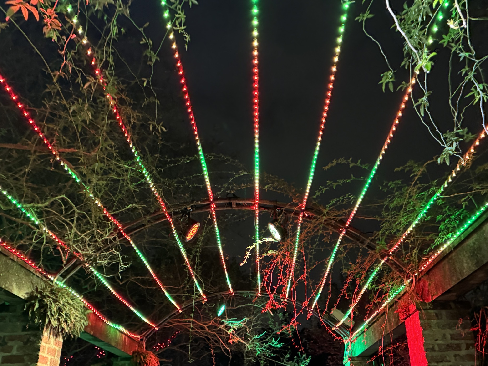 Holiday lights