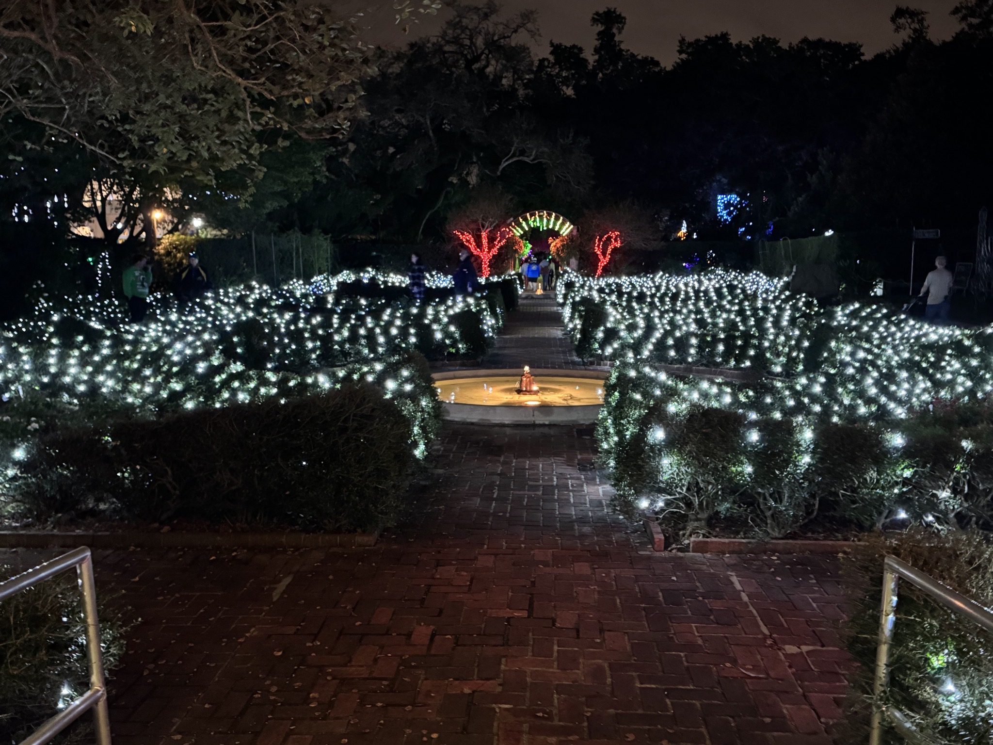 Holiday lights