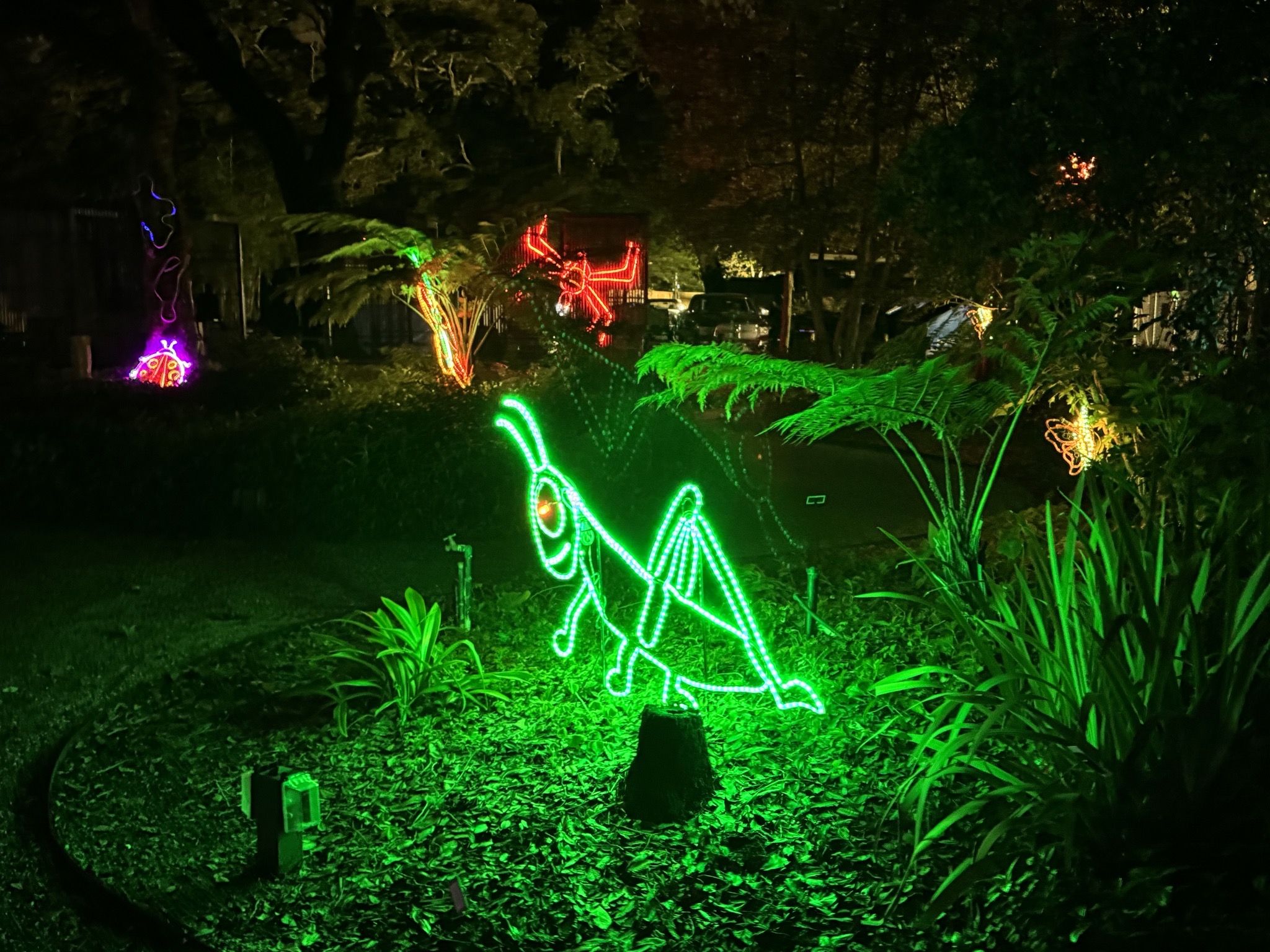 Holiday lights