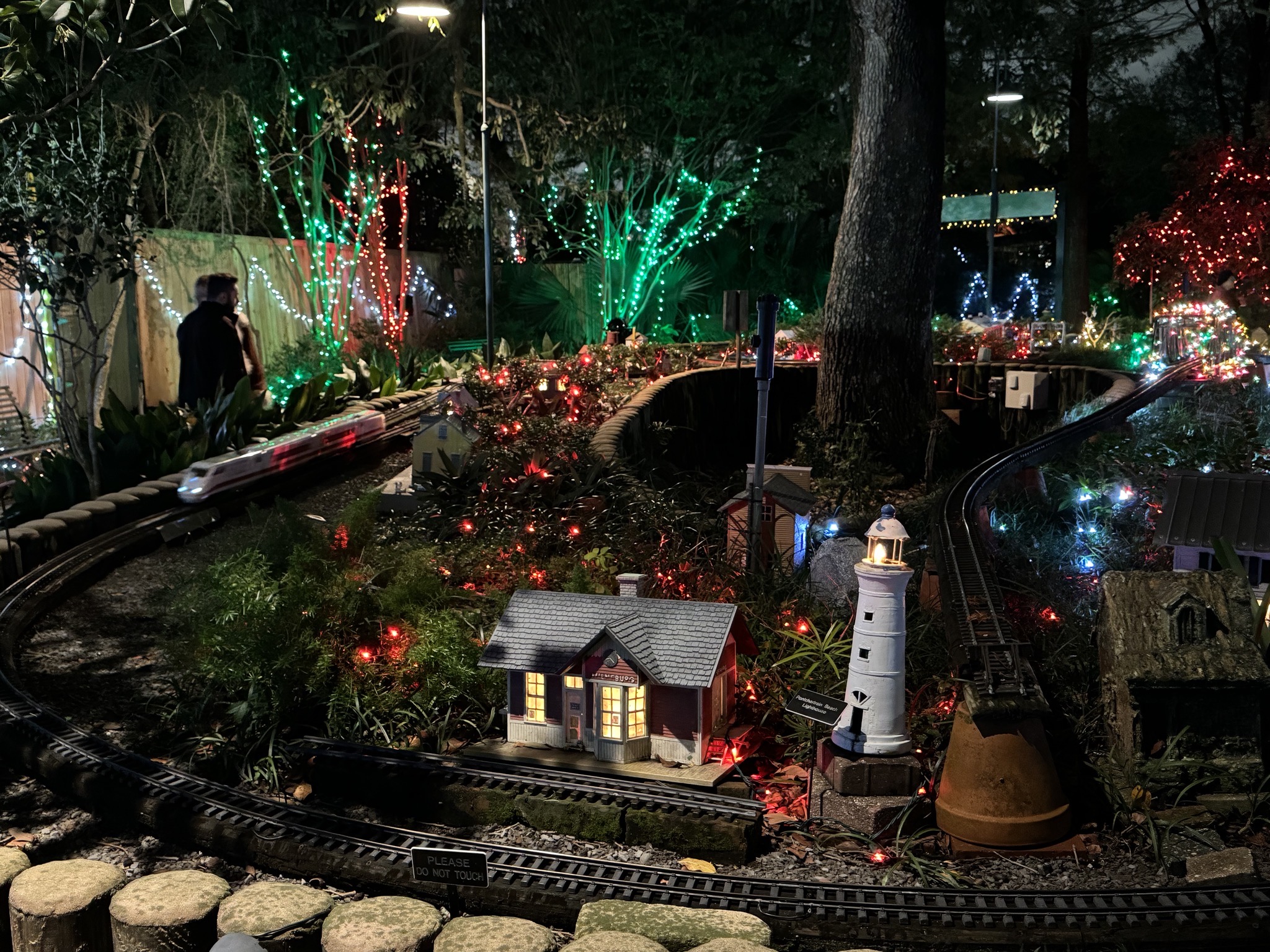 Holiday lights