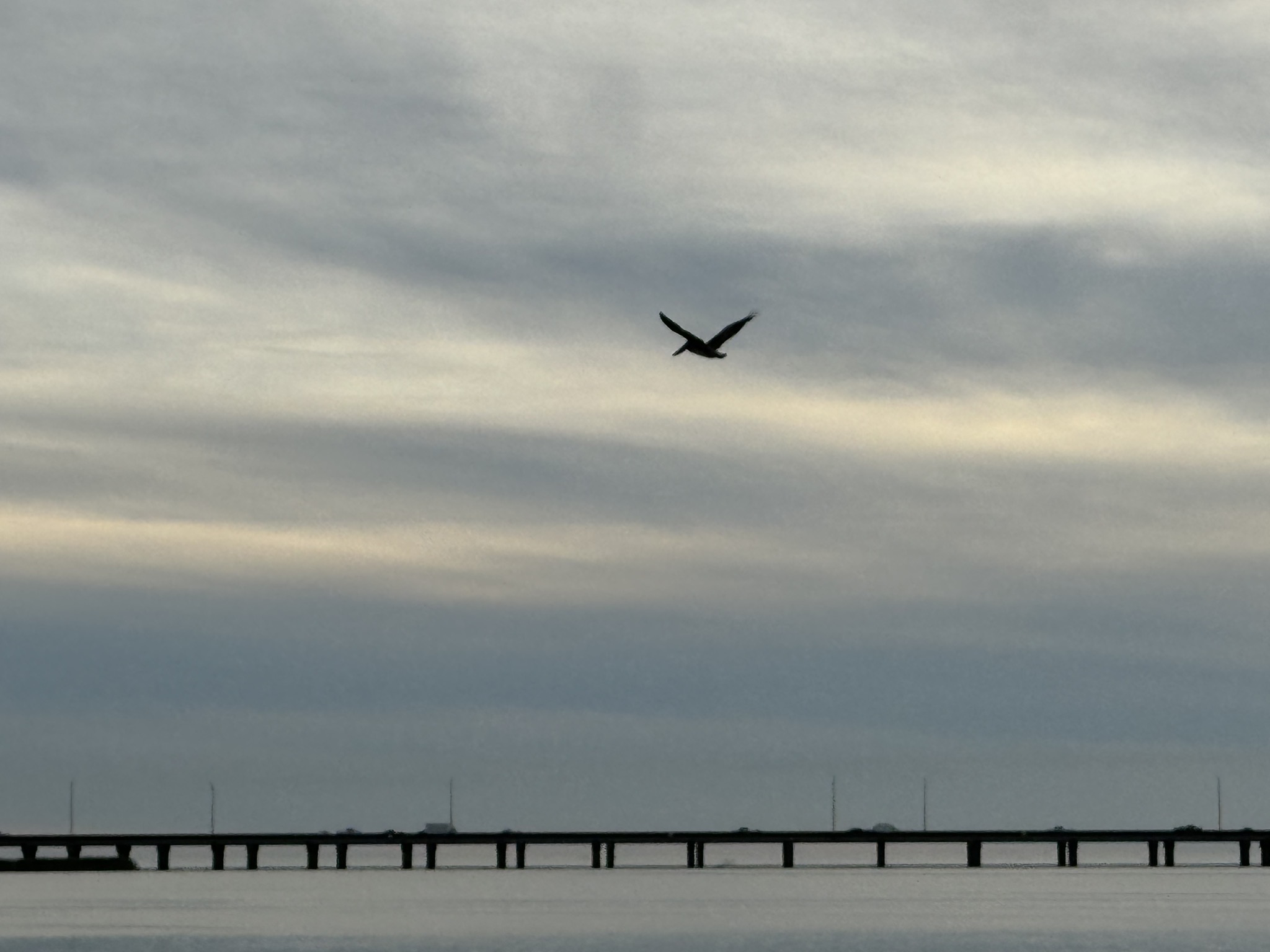 Fishing pier