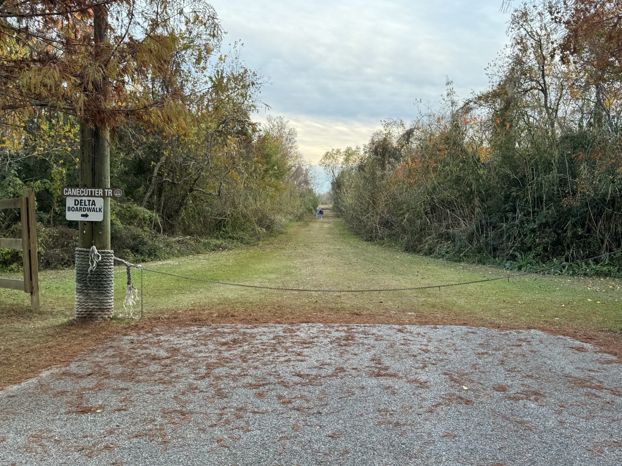 Delta boardwalk