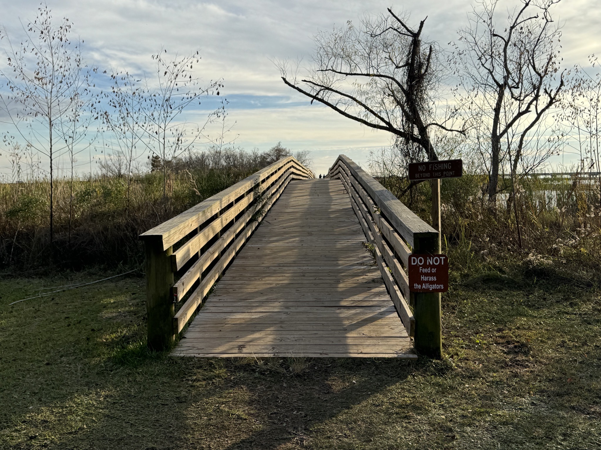Delta boardwalk