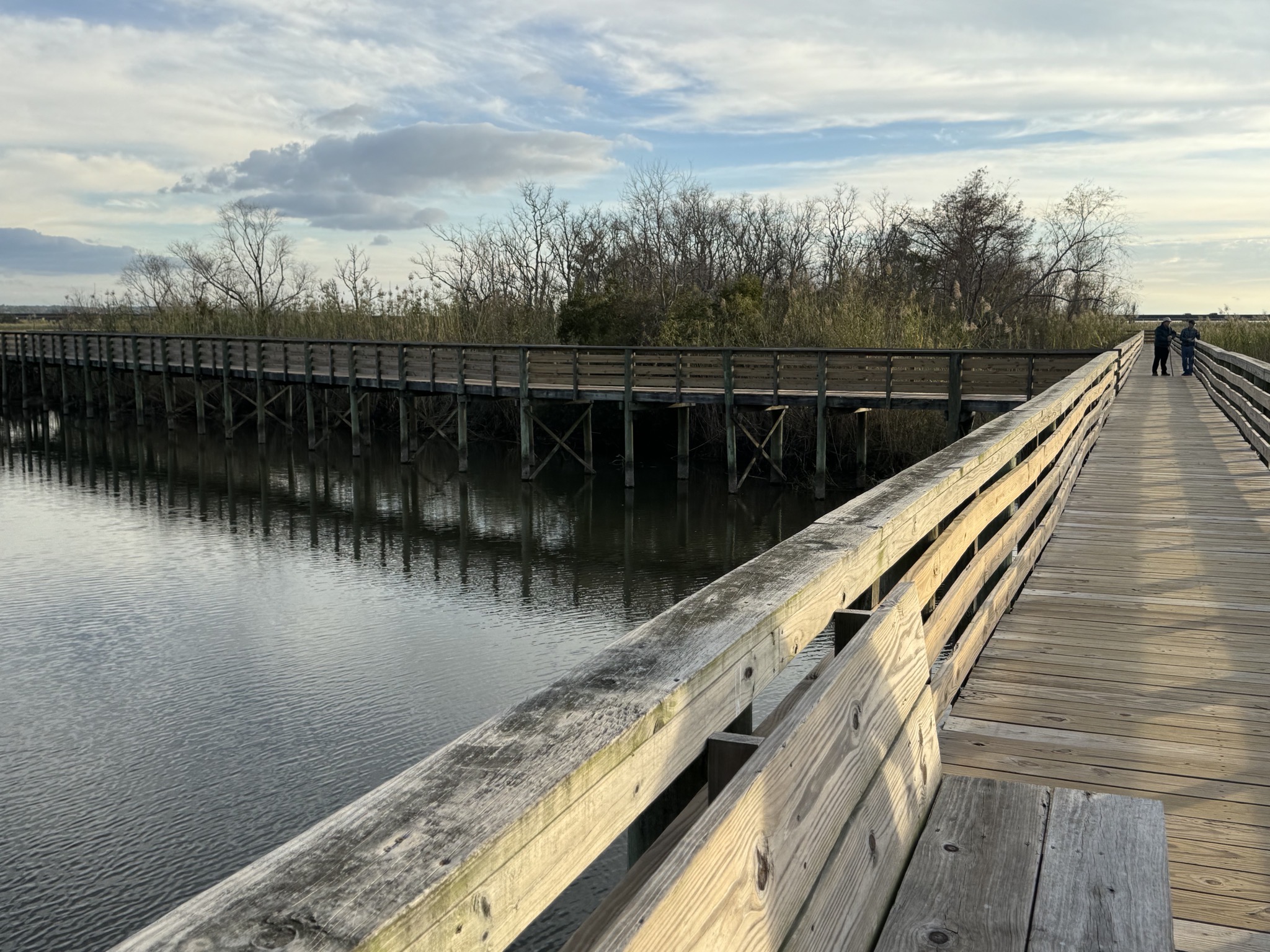 Delta boardwalk