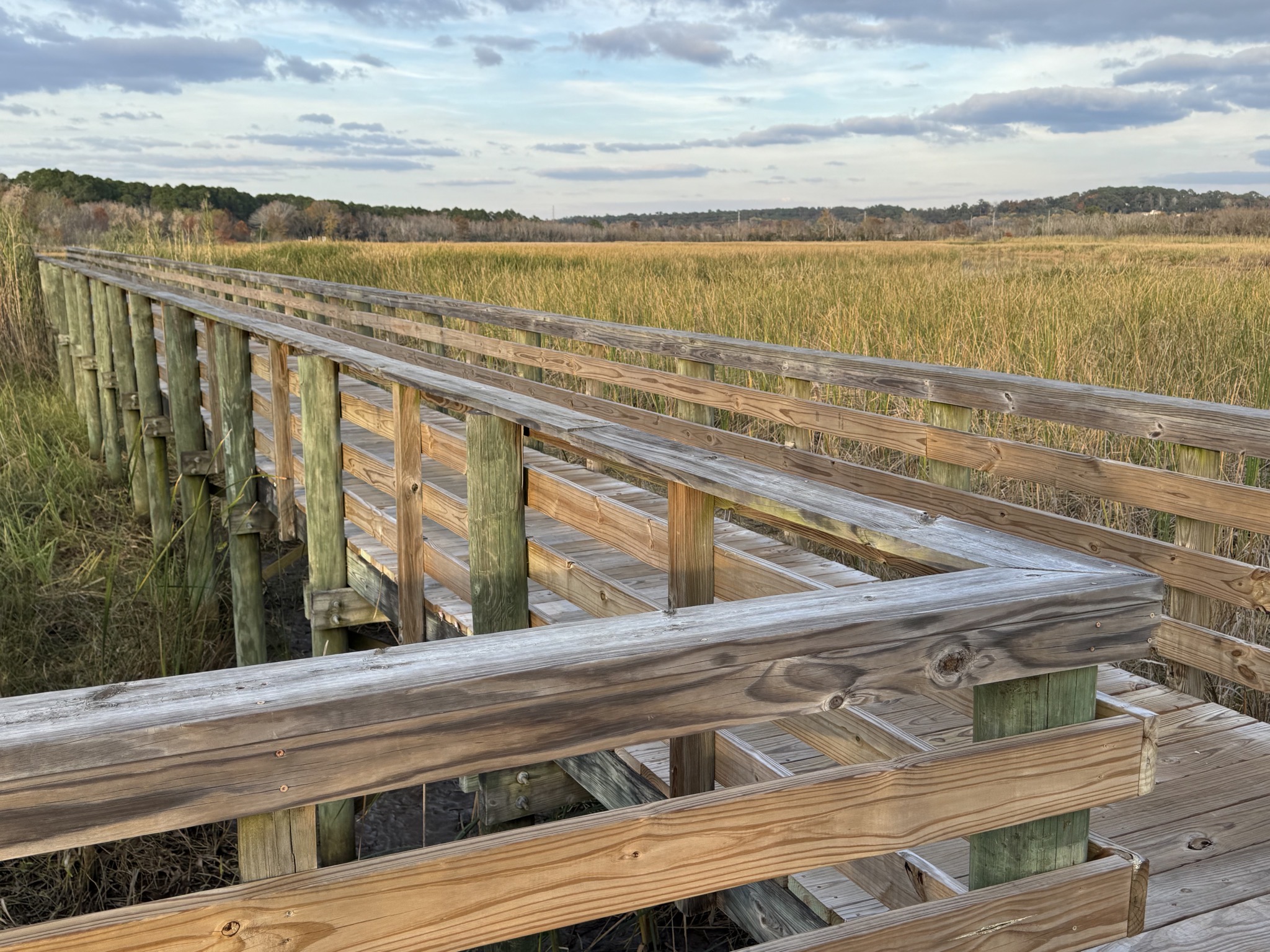 Delta boardwalk
