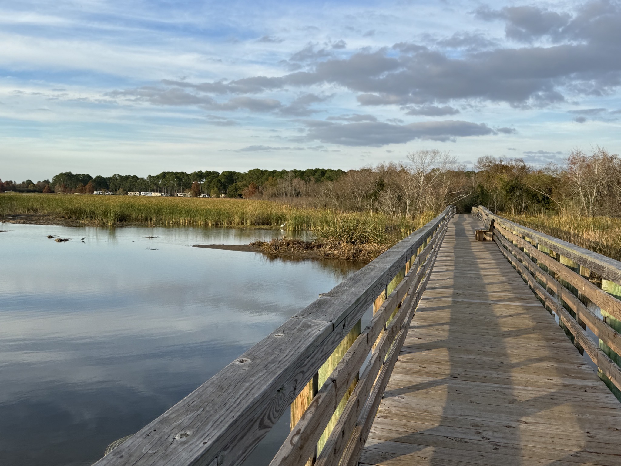 Delta boardwalk
