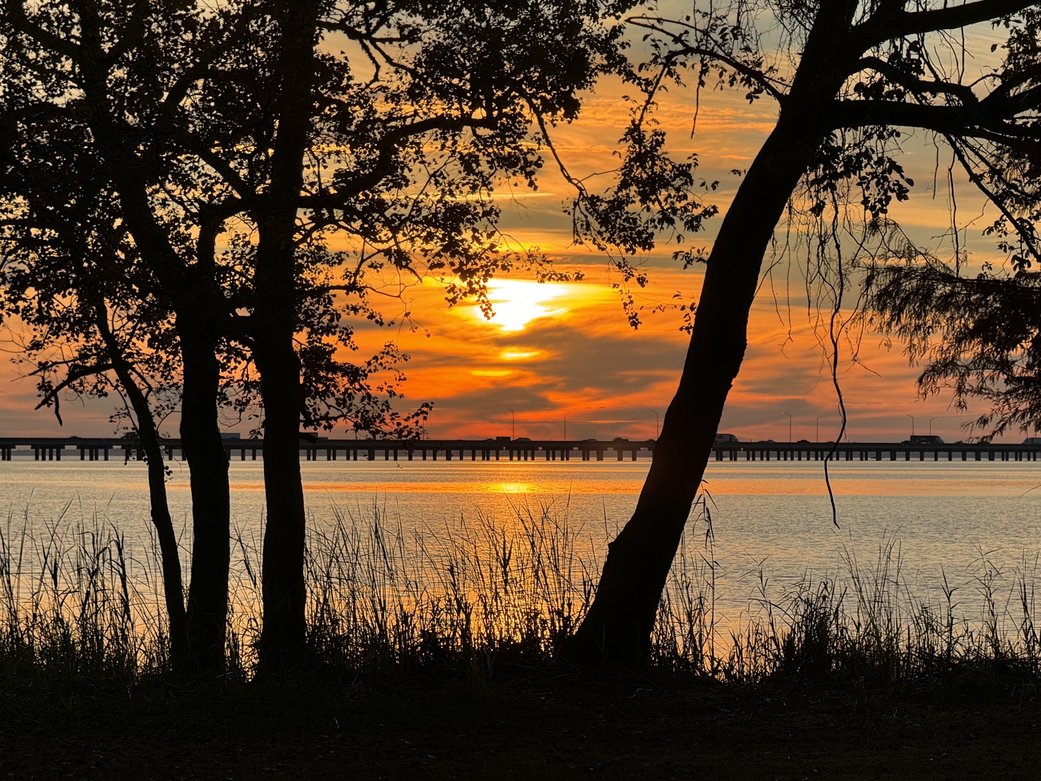 Sunset behind our site