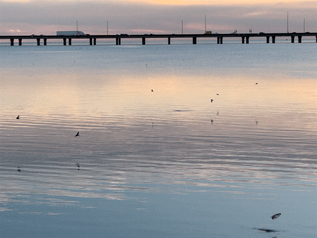 Sunset from fishing pier