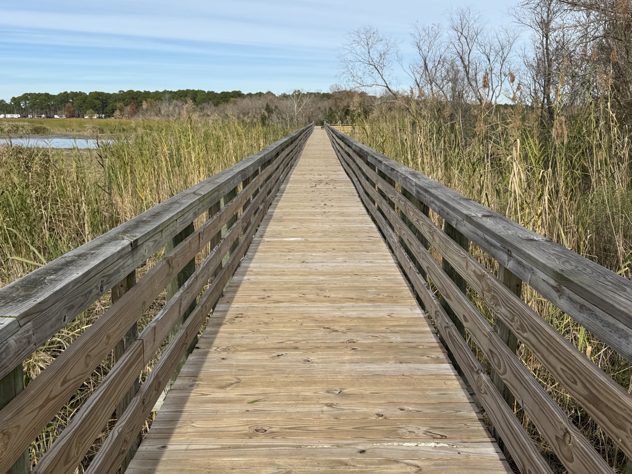 Delta boardwalk