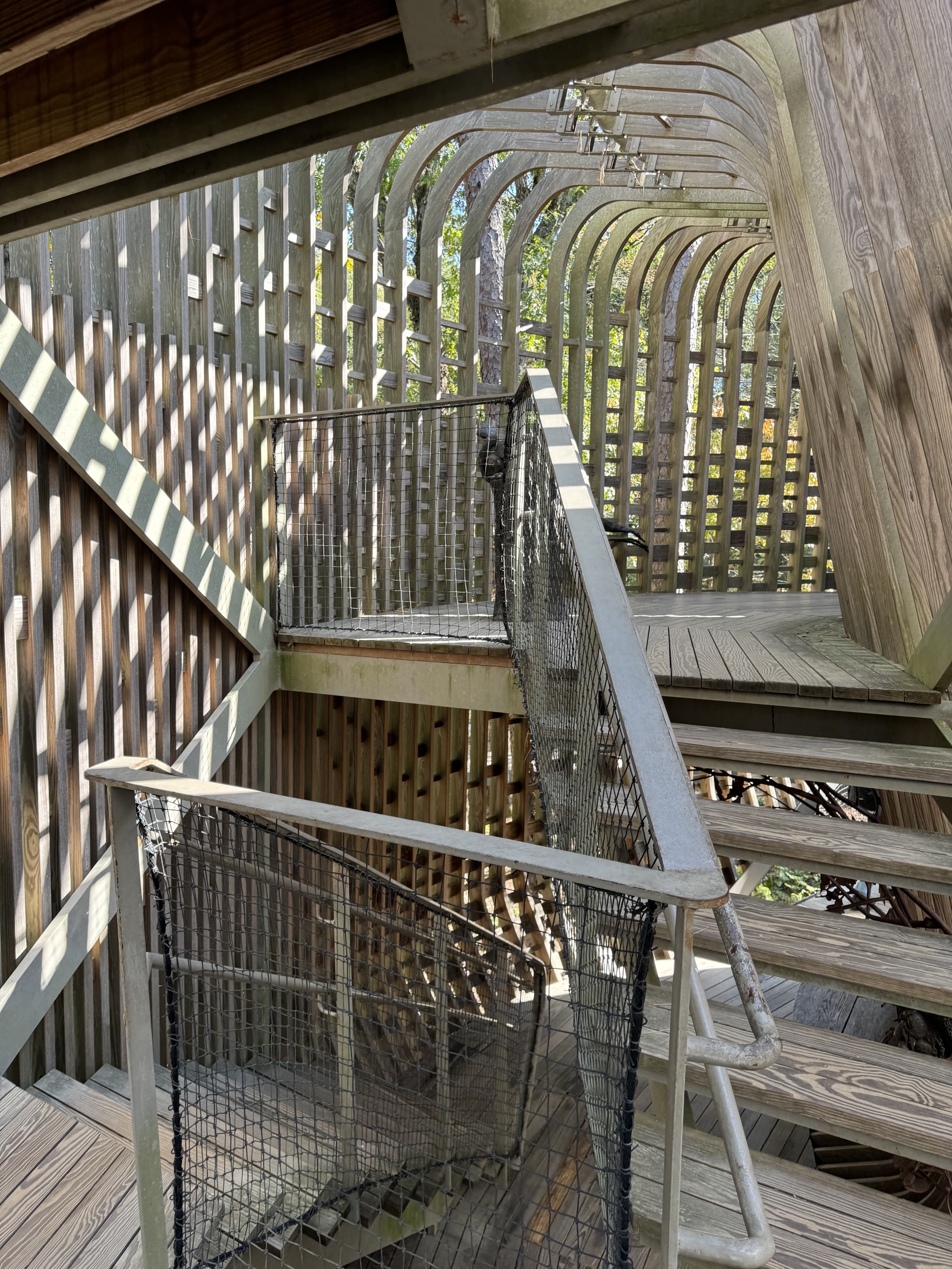 Treehouse