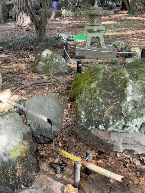Japanese garden
