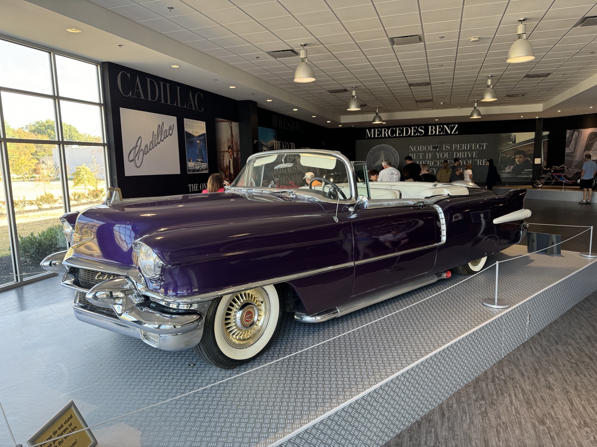 Elvis exhibits