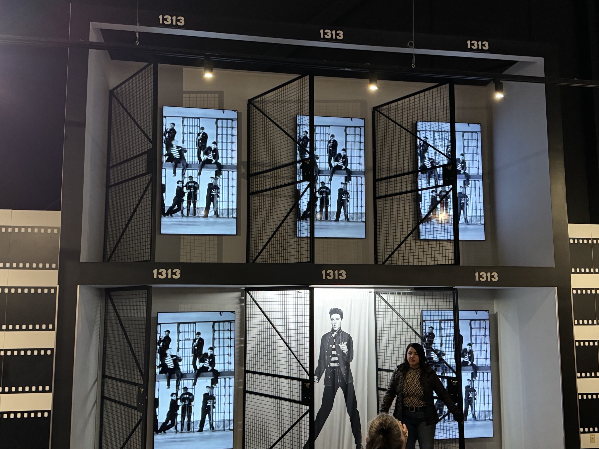 Elvis exhibits