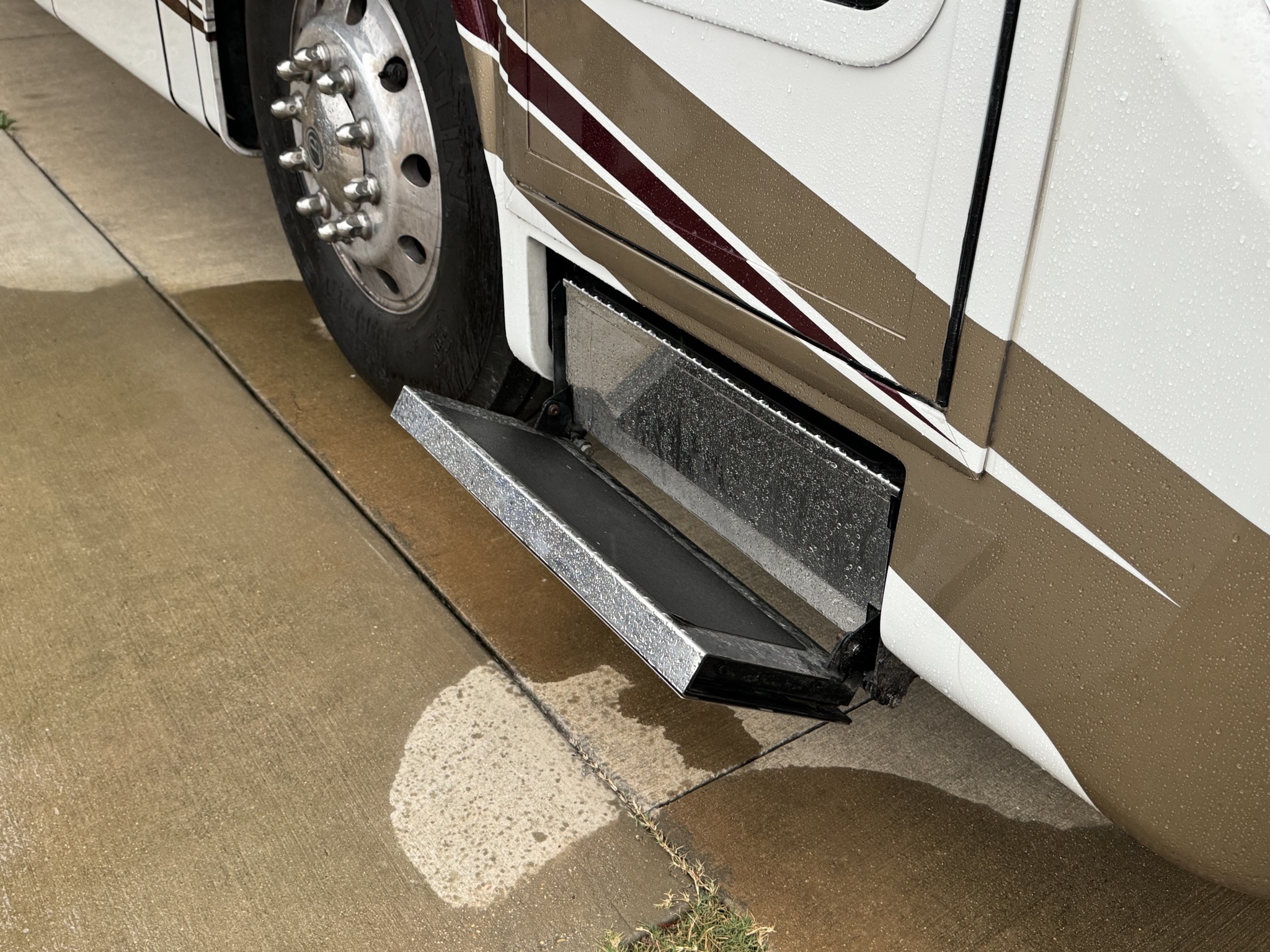 Entry step