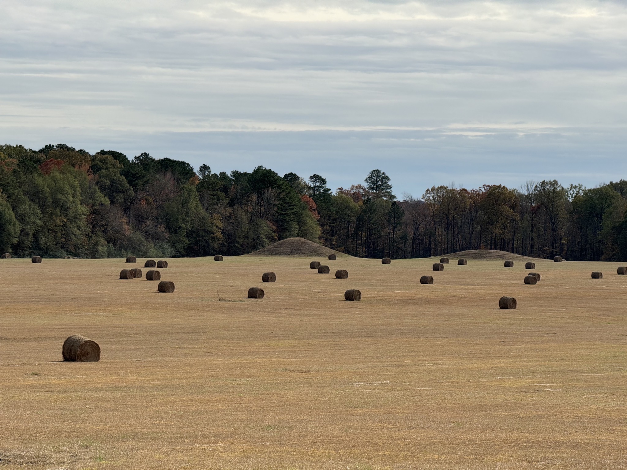 Pharr Mounds
