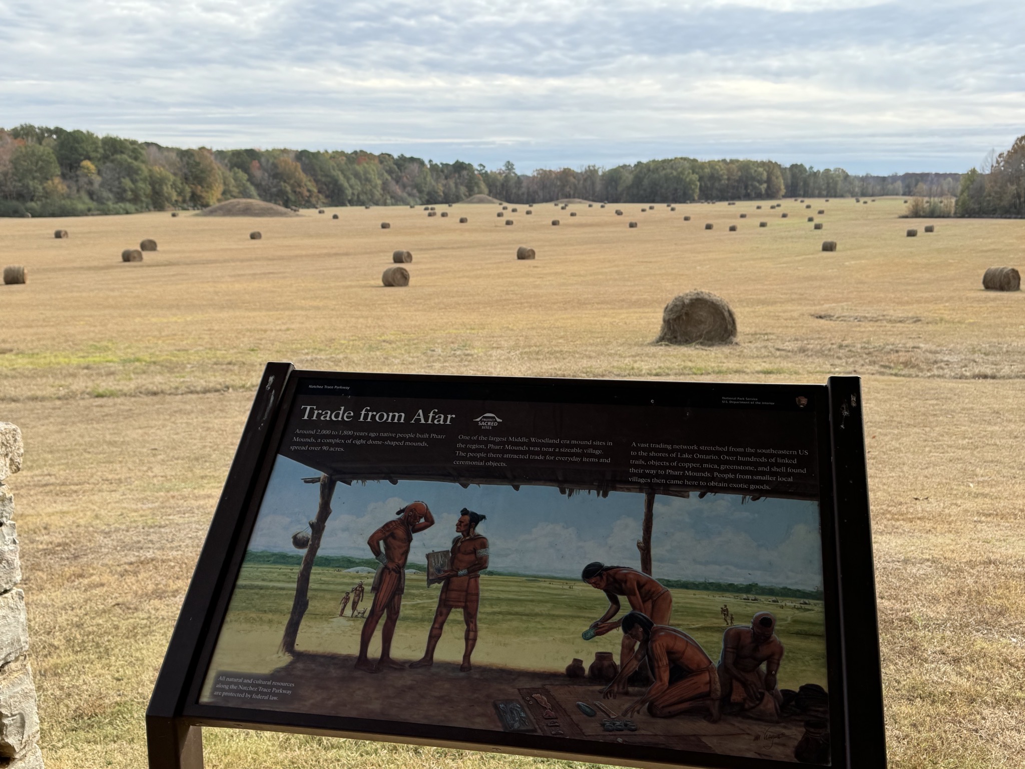 Pharr Mounds