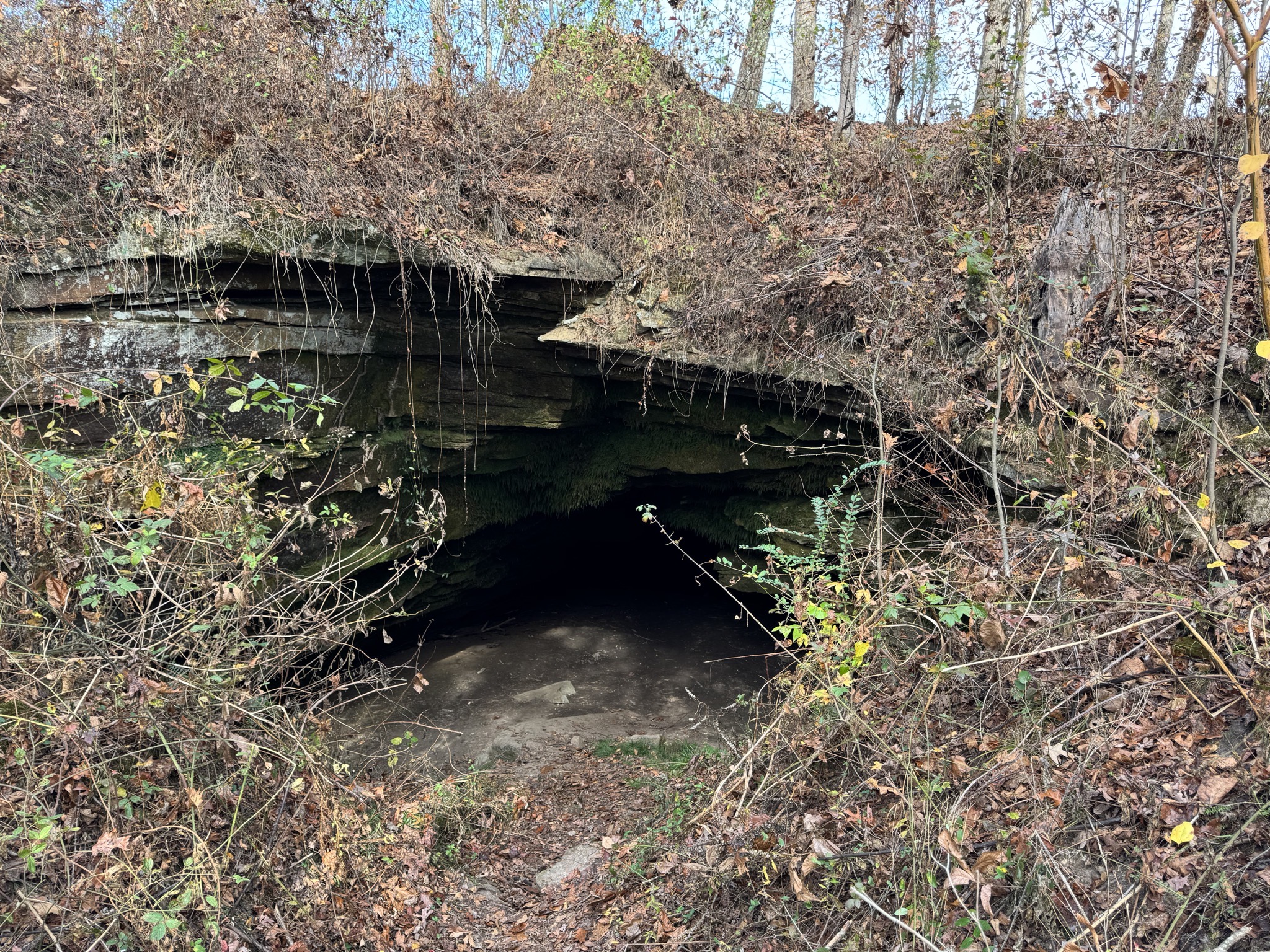 Cave Spring