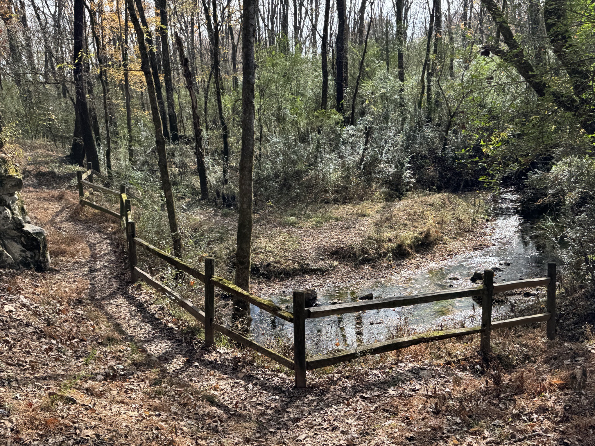 Buzzard Roost Spring