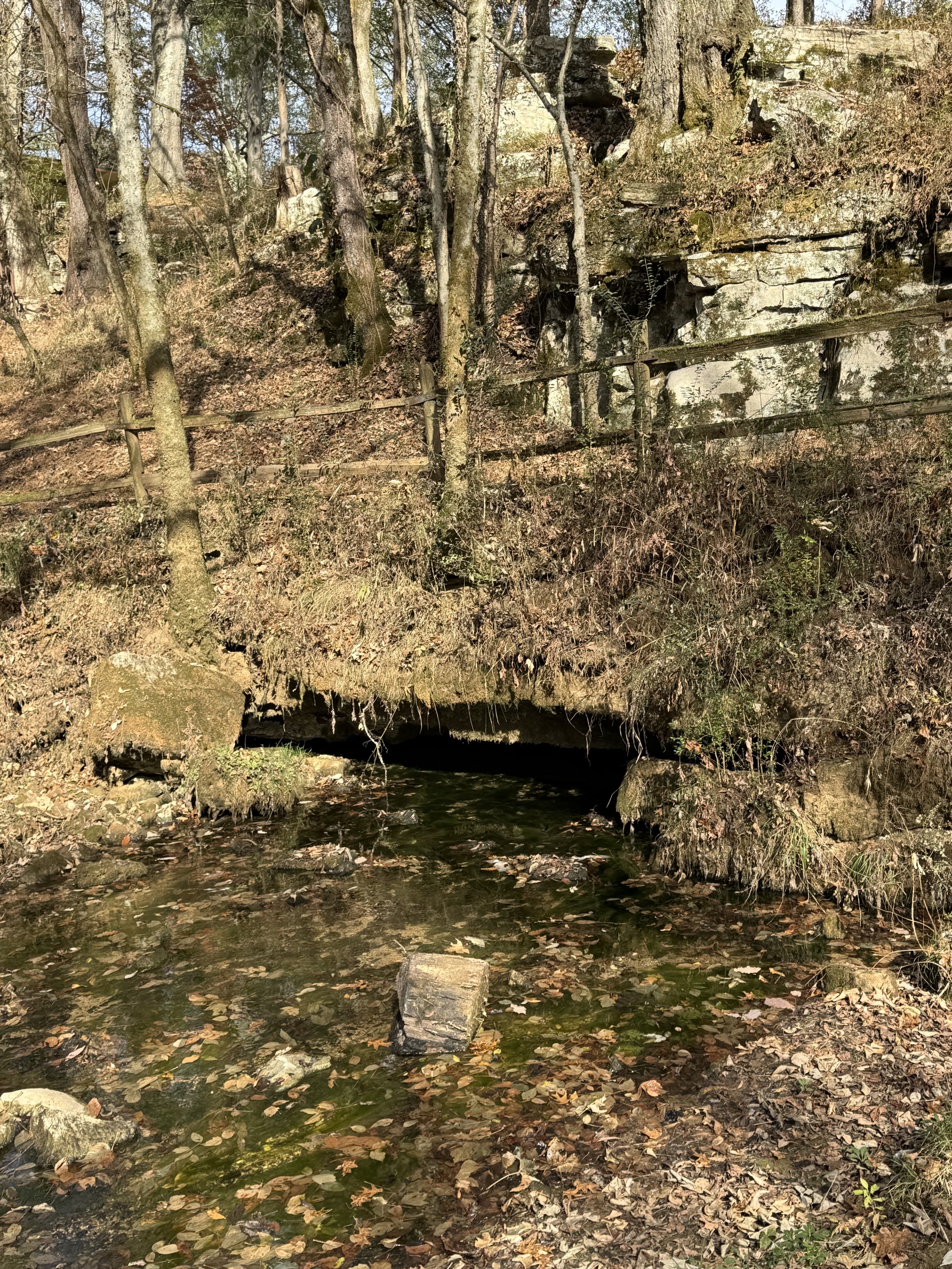 Buzzard Roost Spring