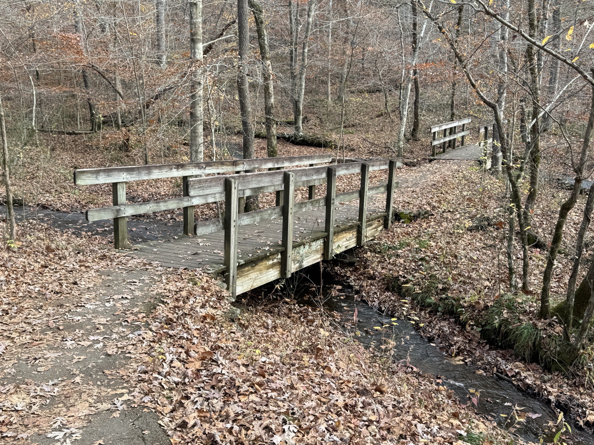 Fall Hollow Trail