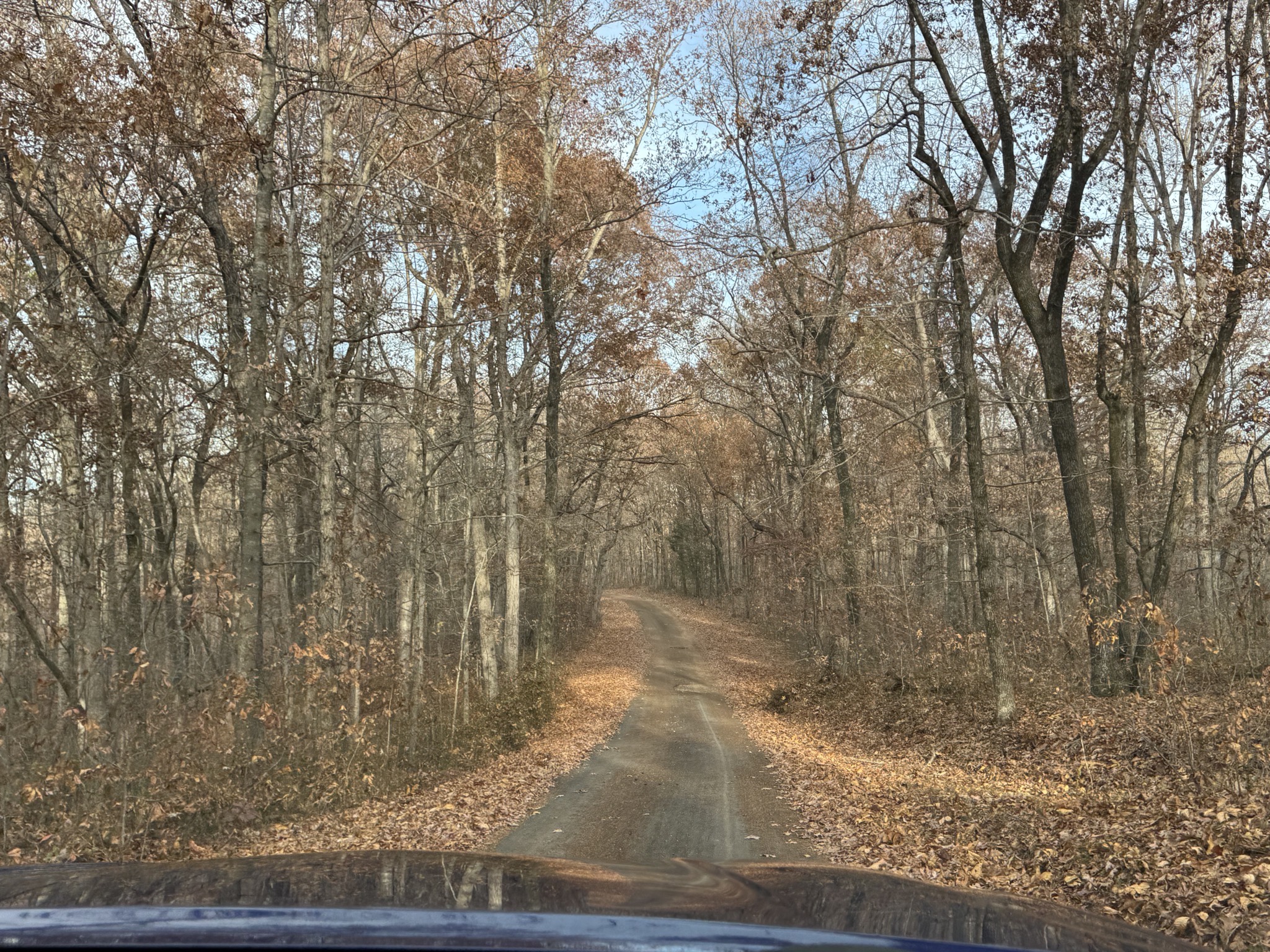 Laurel Hill Road