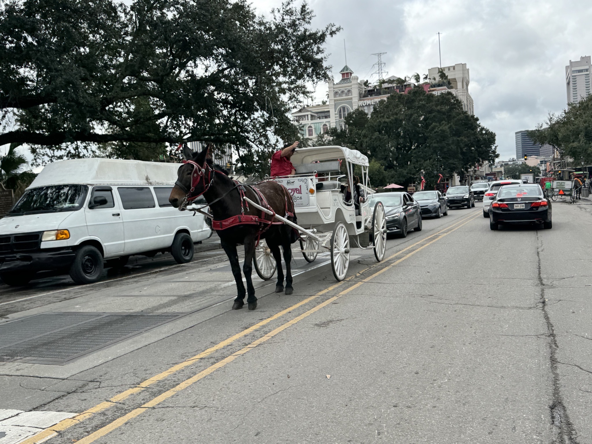 French Quarter