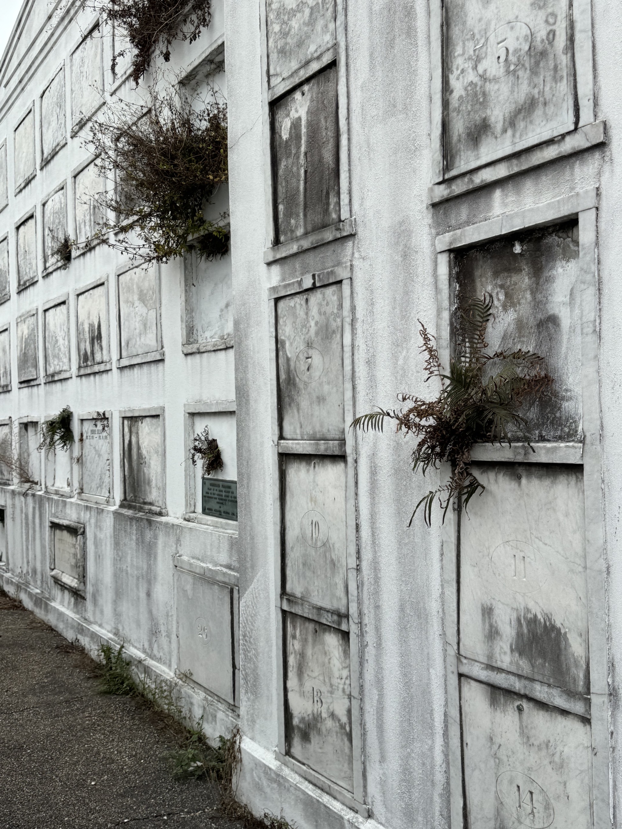 Cemetery tombs