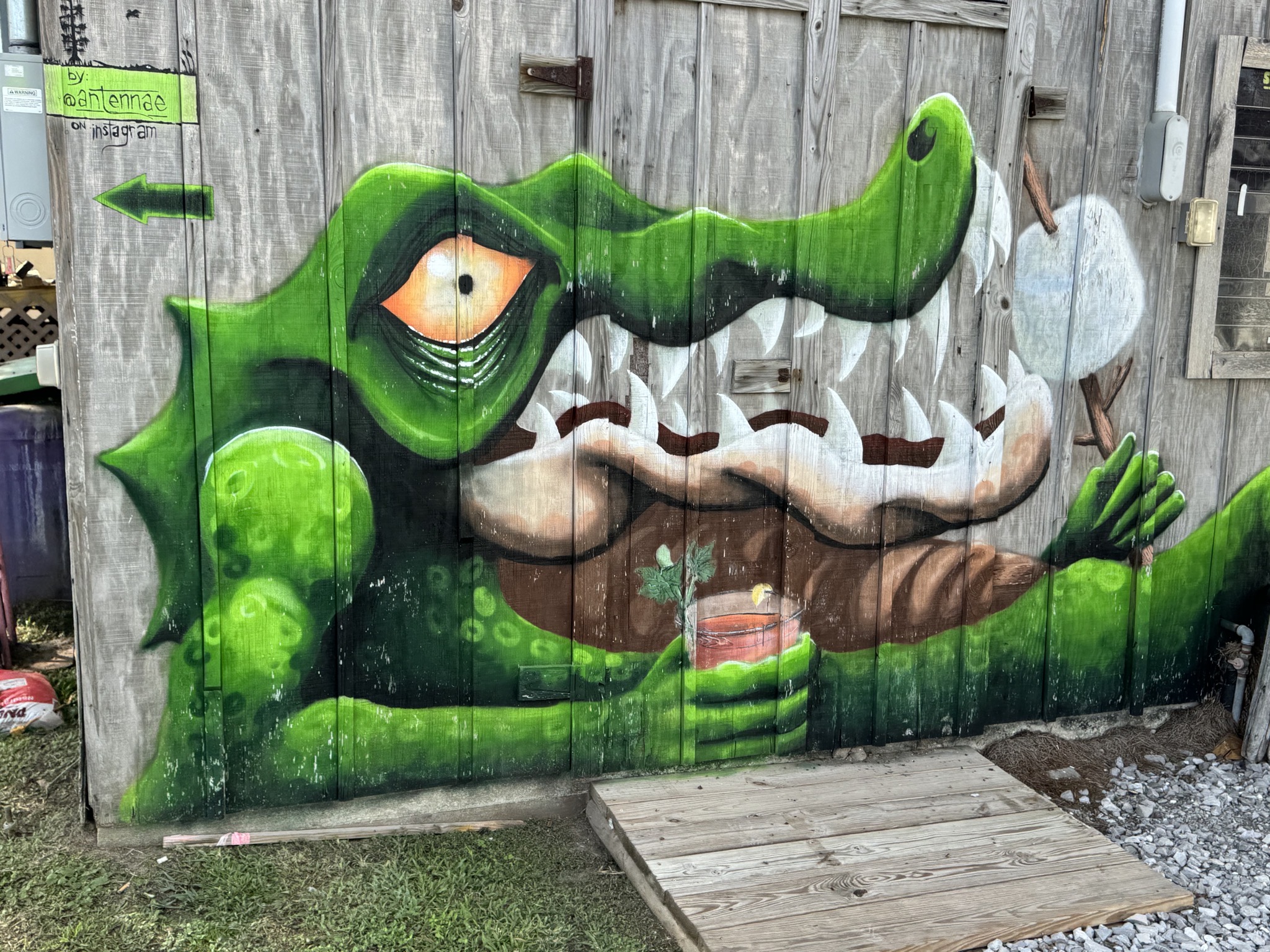 LaBiche Swamp Tours