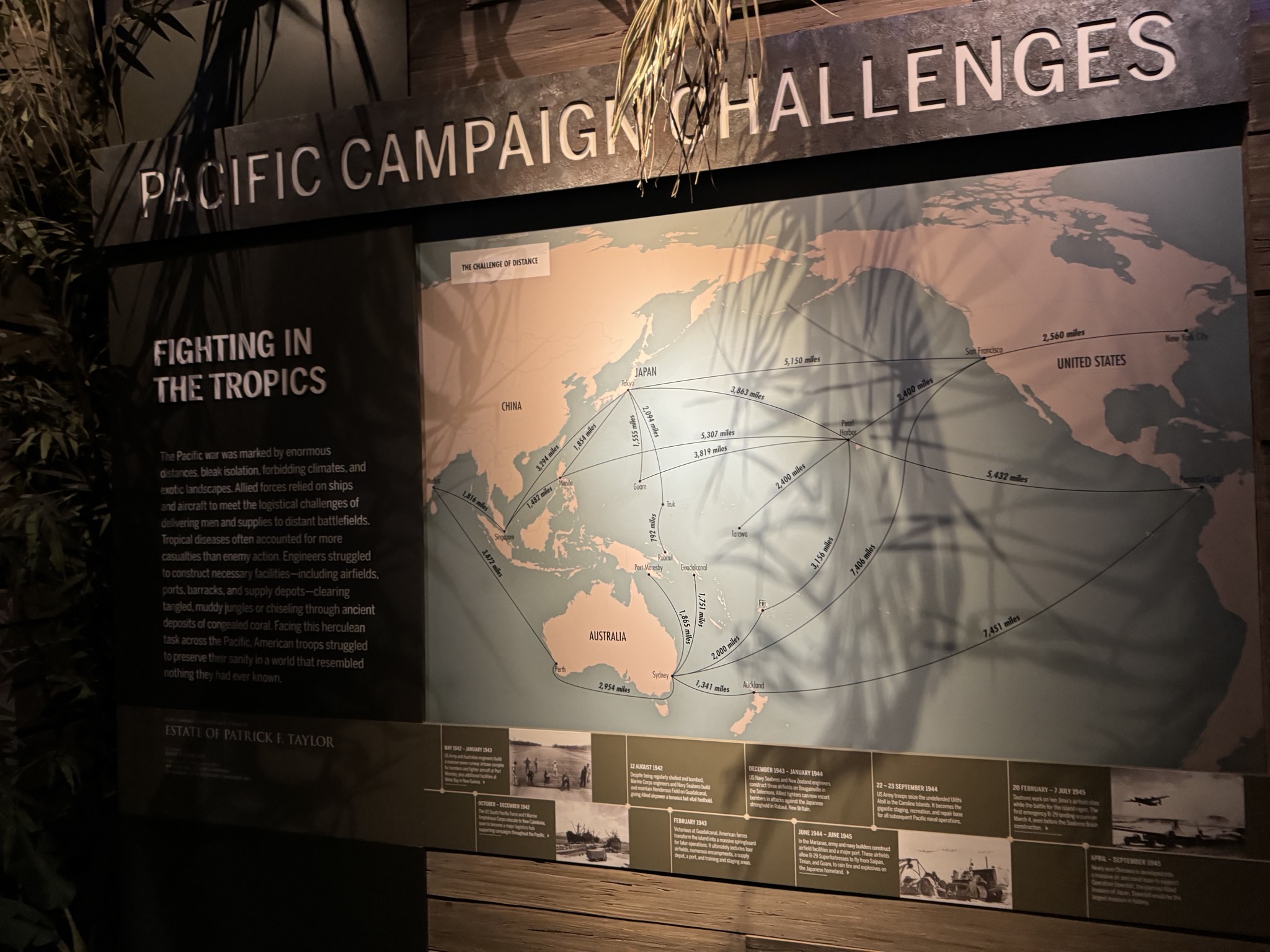 WWII museum