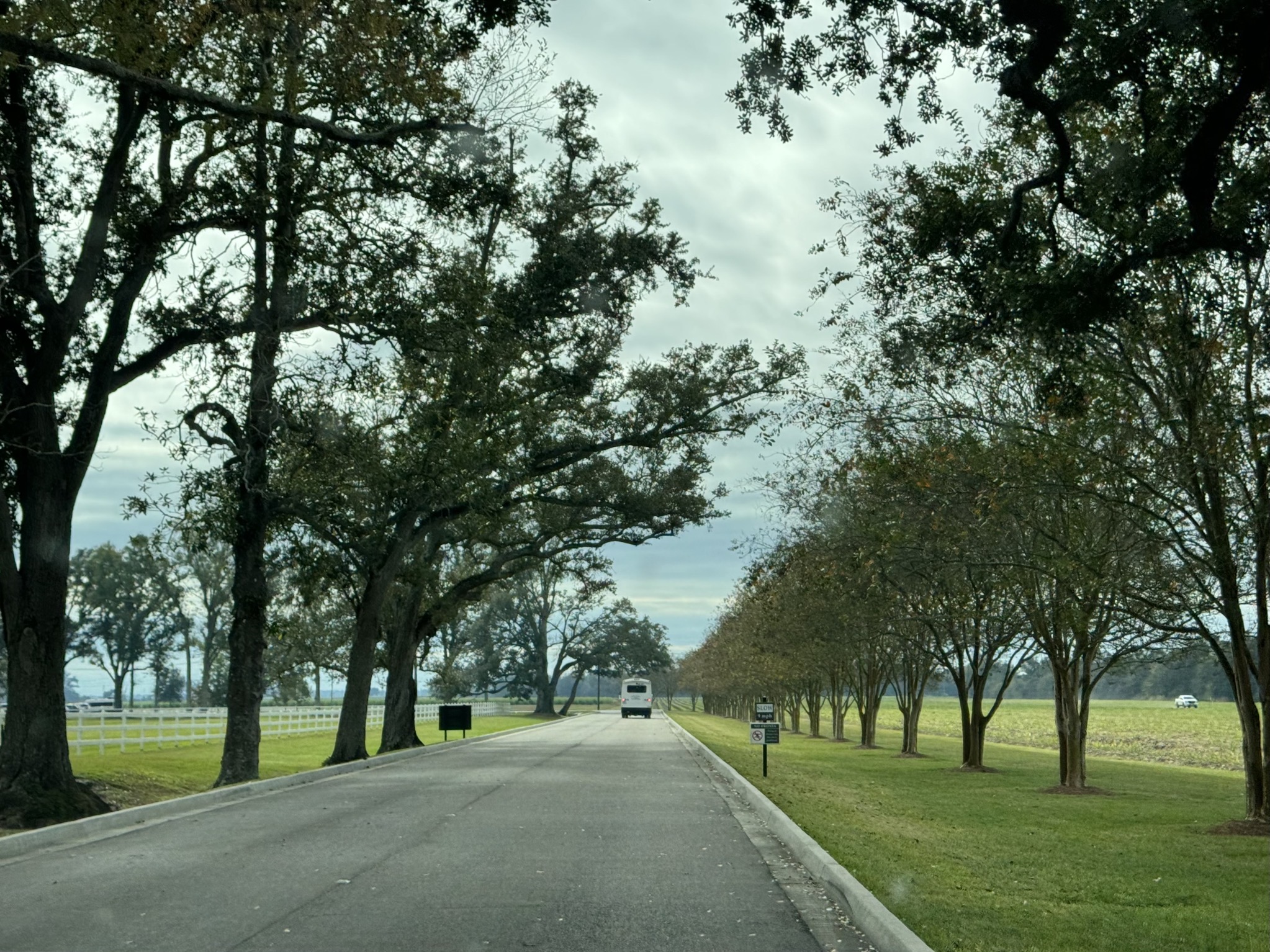 Entrance drive