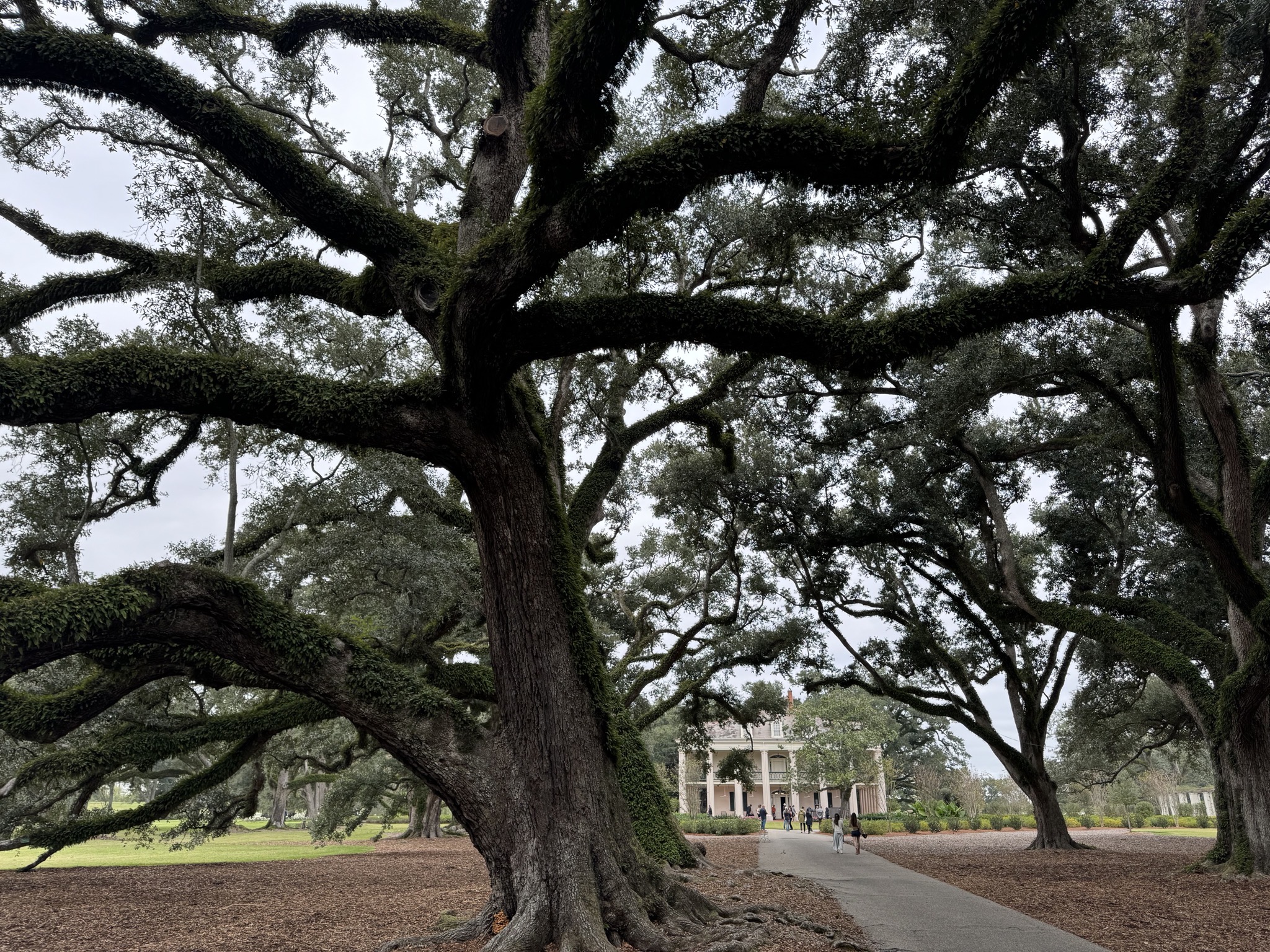 Gardens