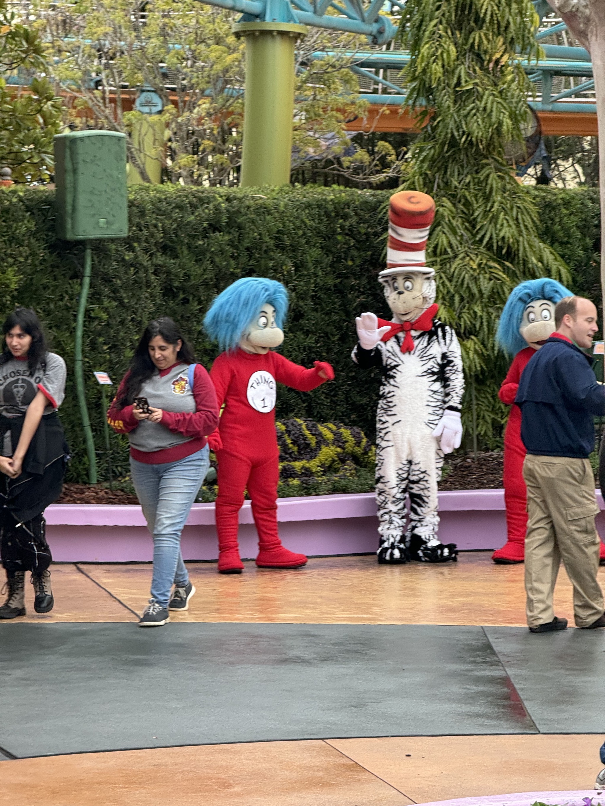 Cat in the Hat and Things