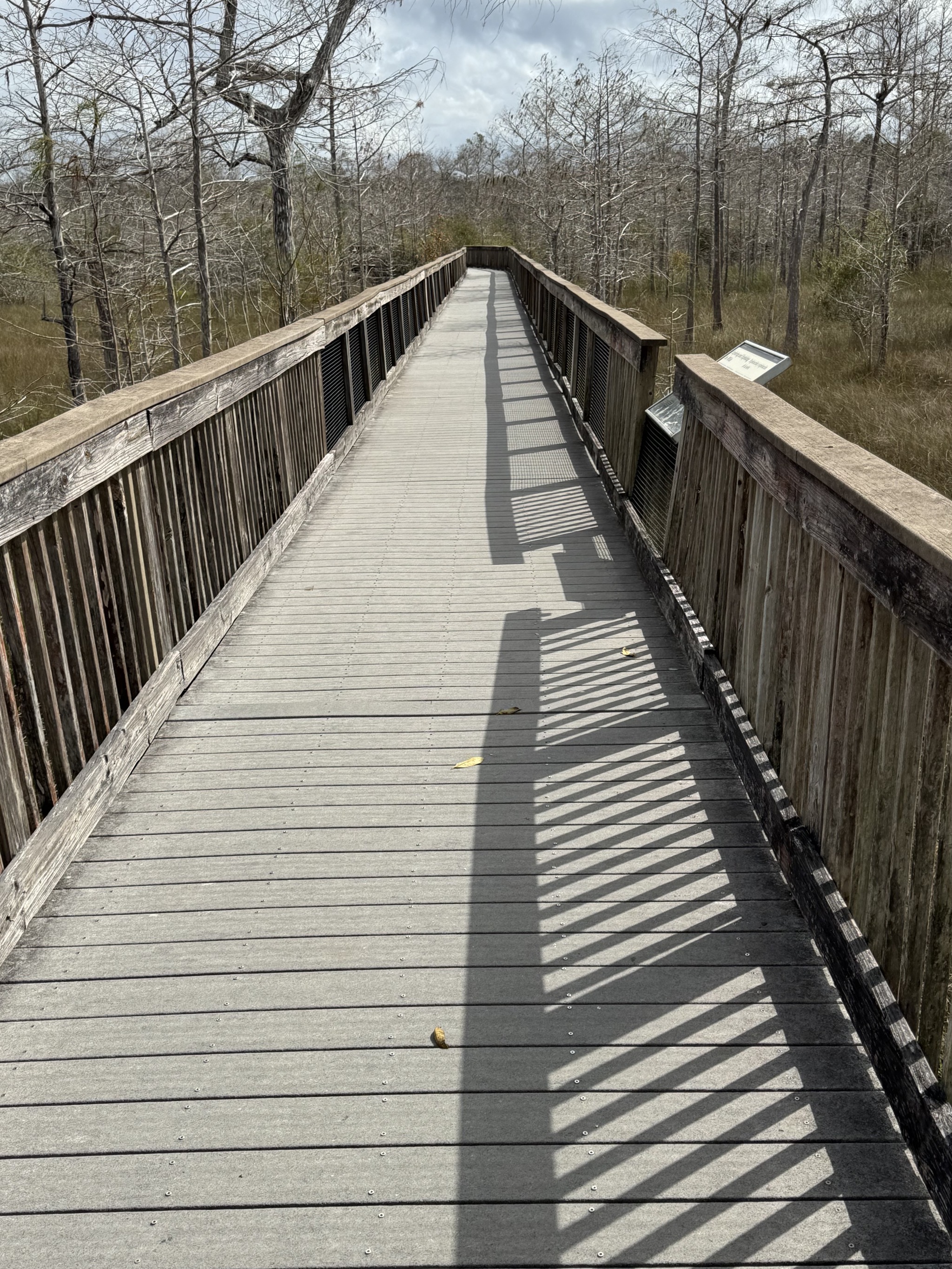 Boardwalk