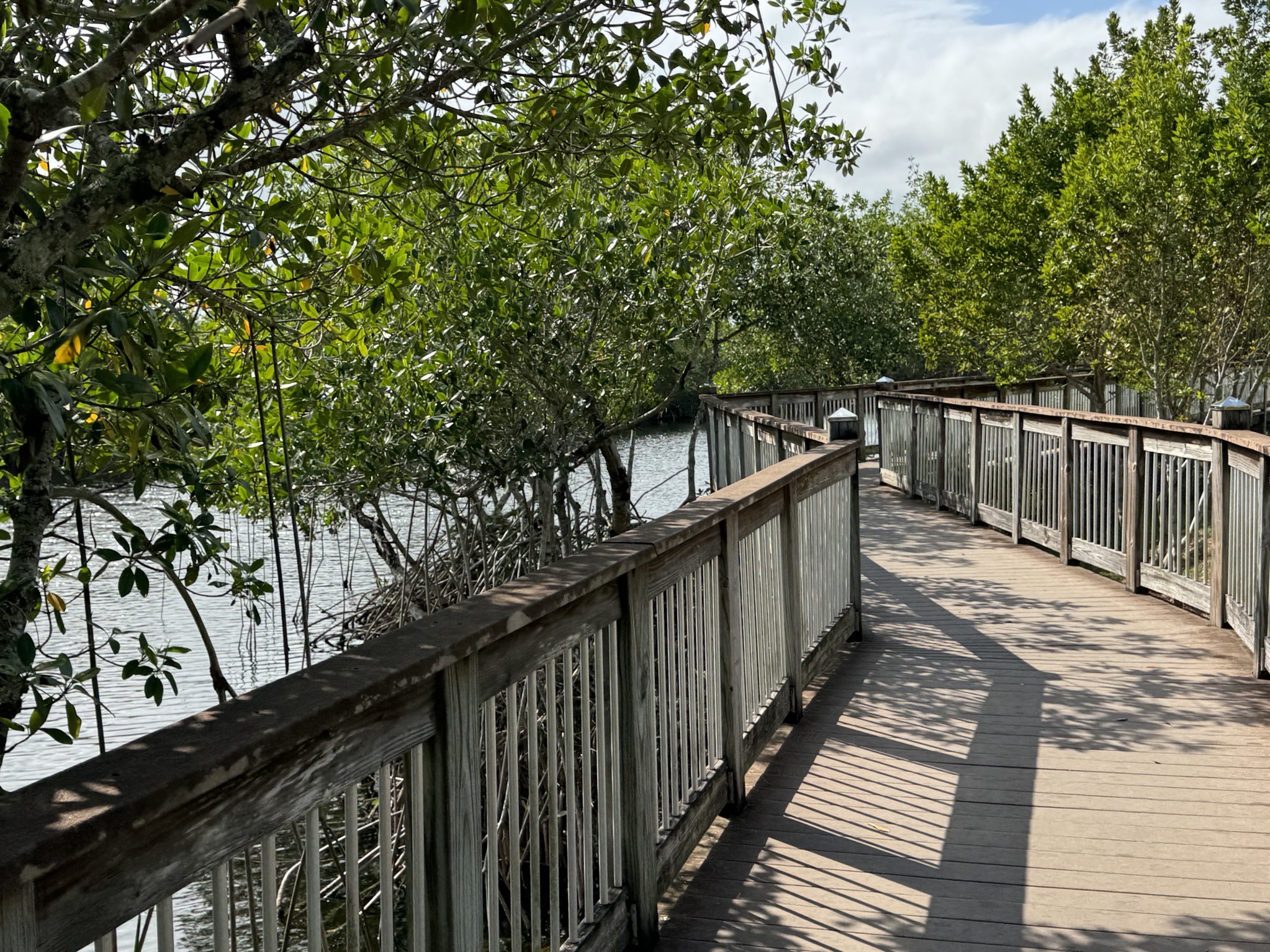 Boardwalk