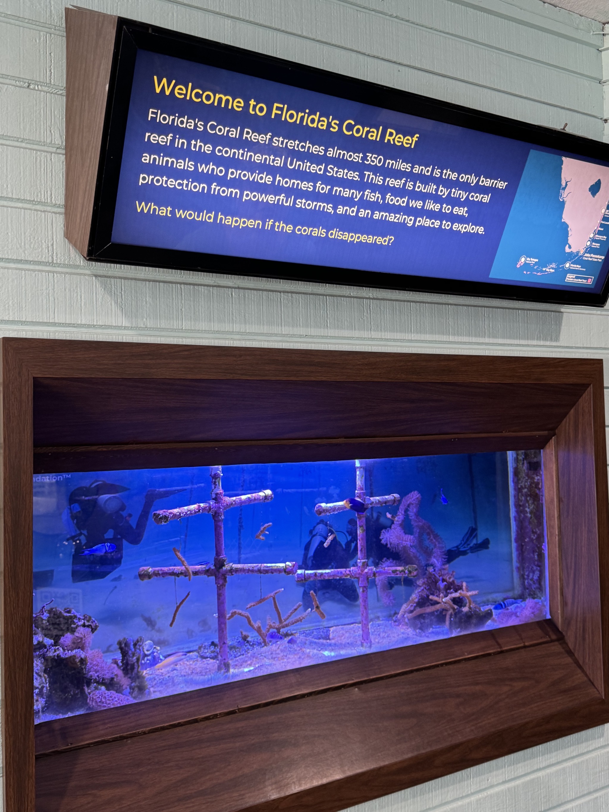 Visitor center aquarium