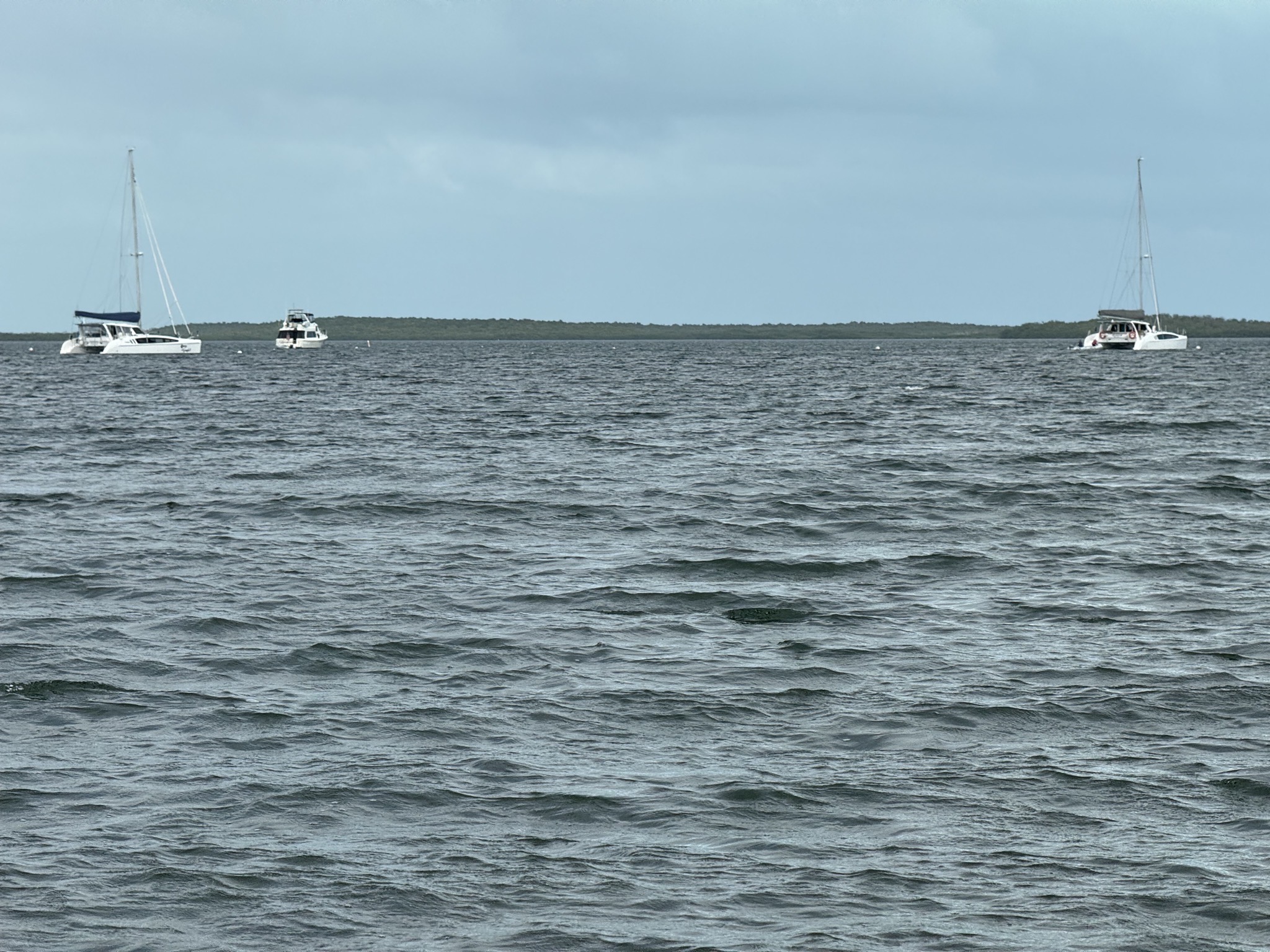 Boats