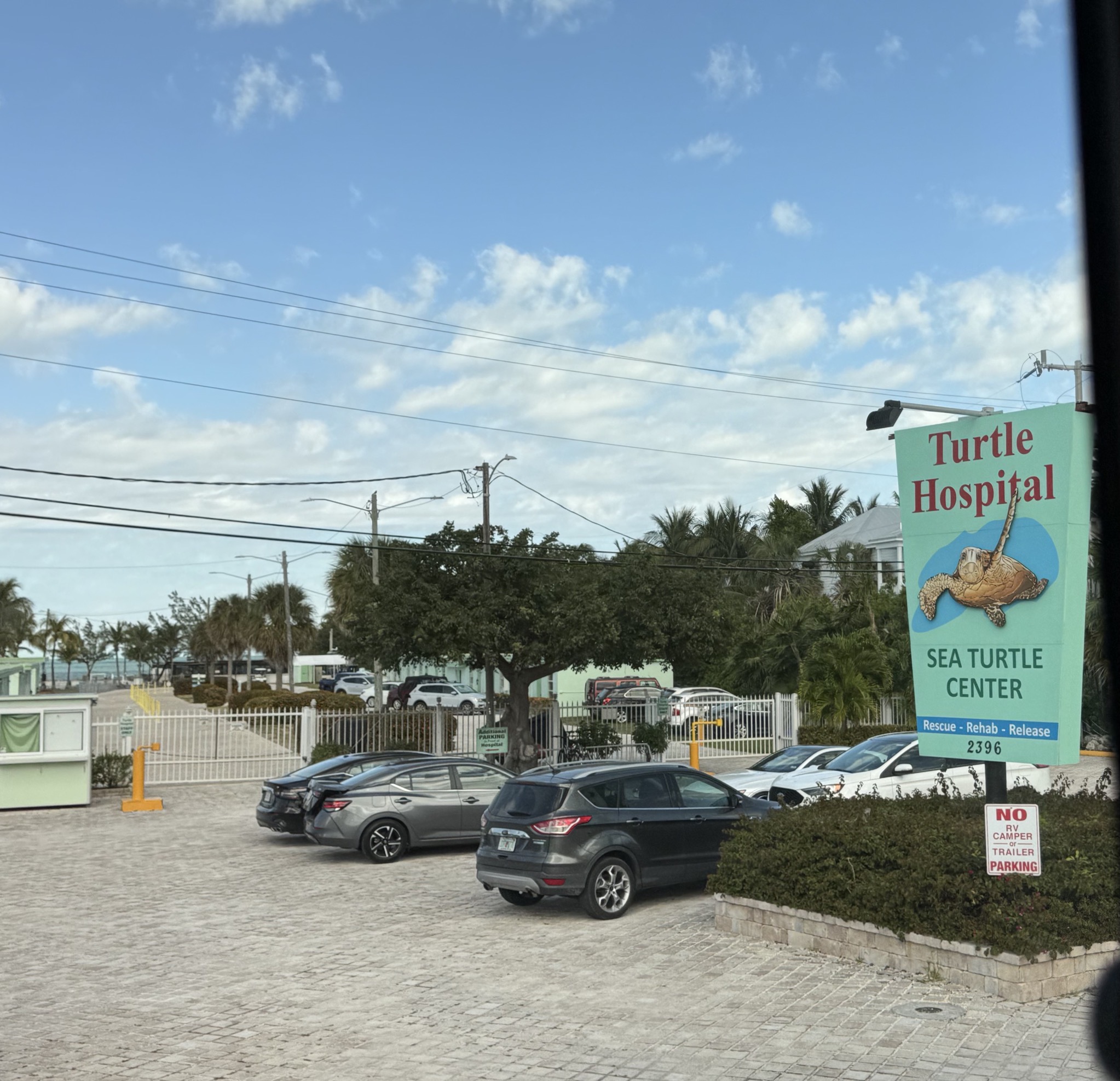 Turtle hospital