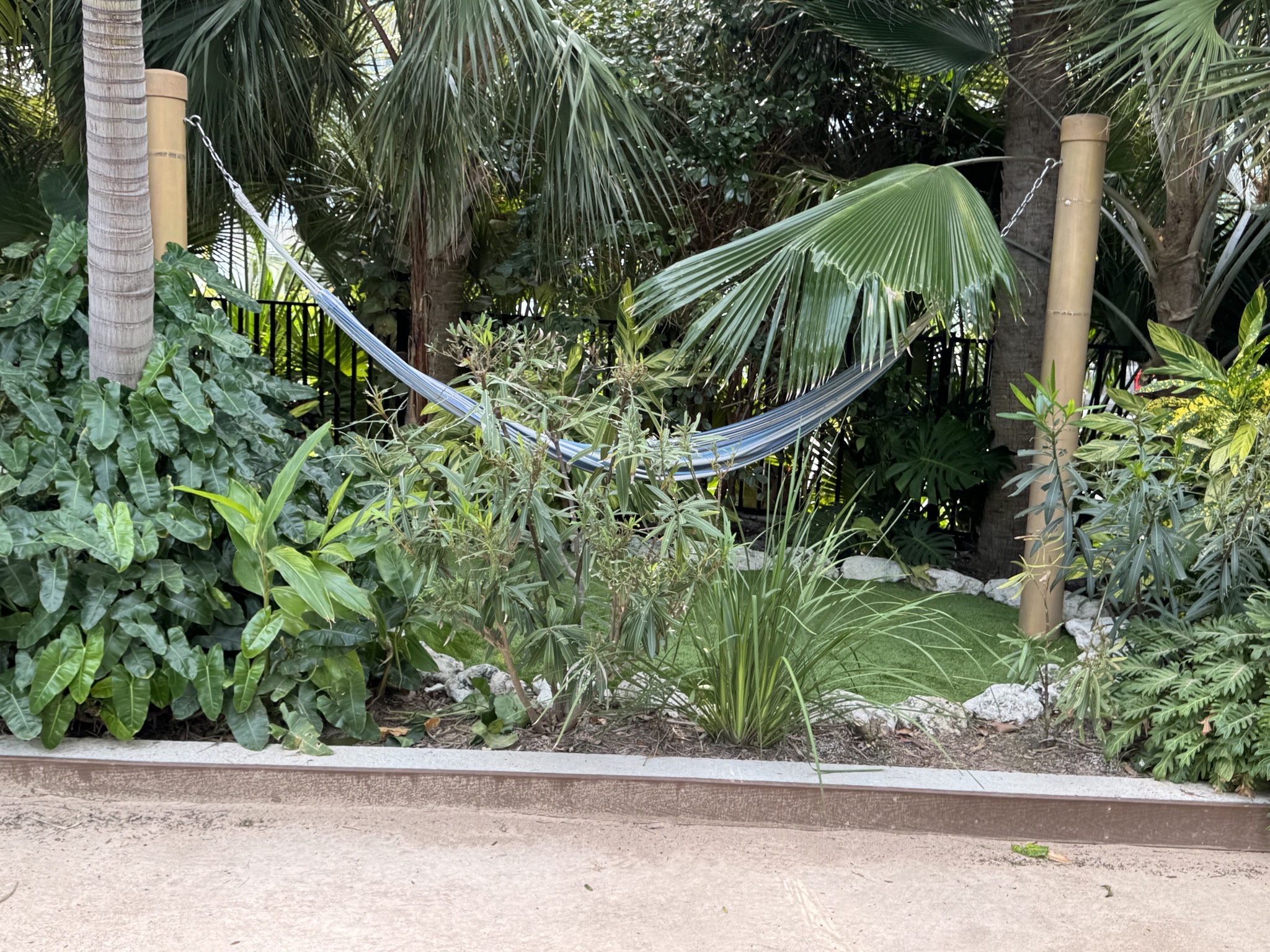 Hammock