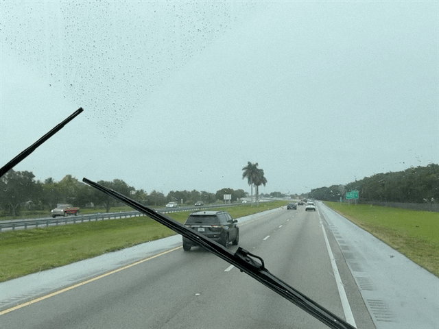 Rain
