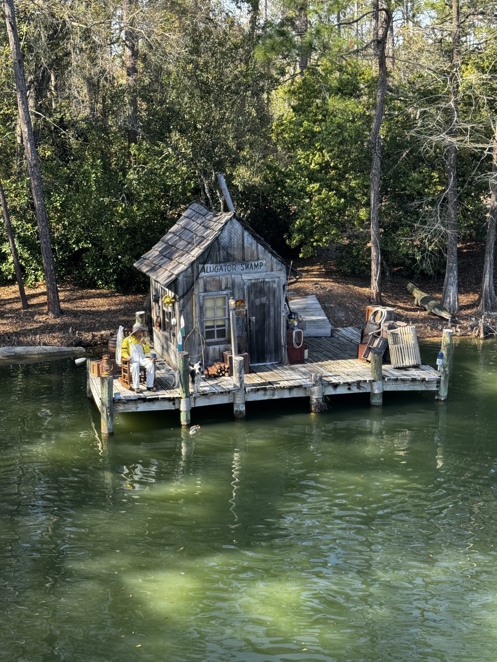 Alligator Swamp