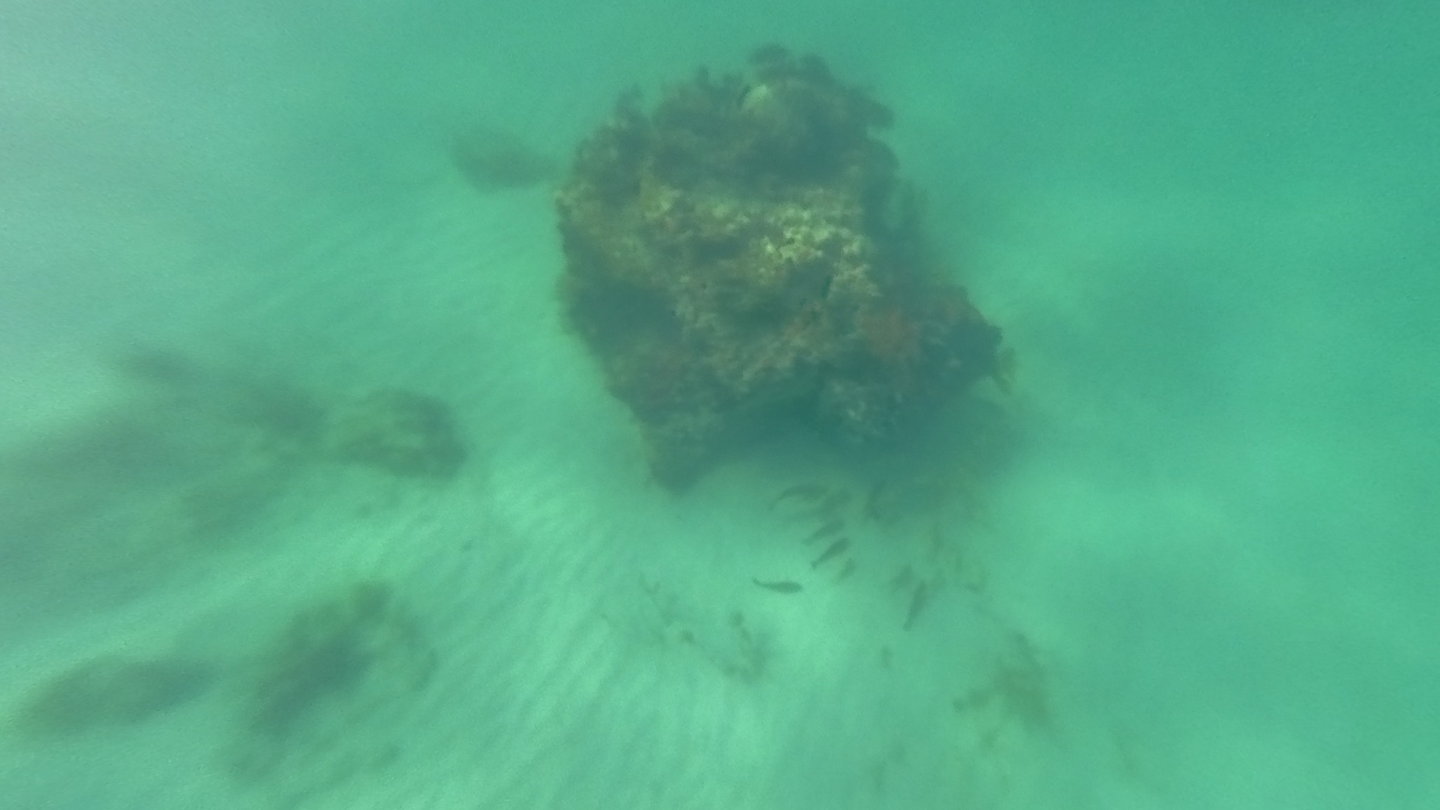 Underwater