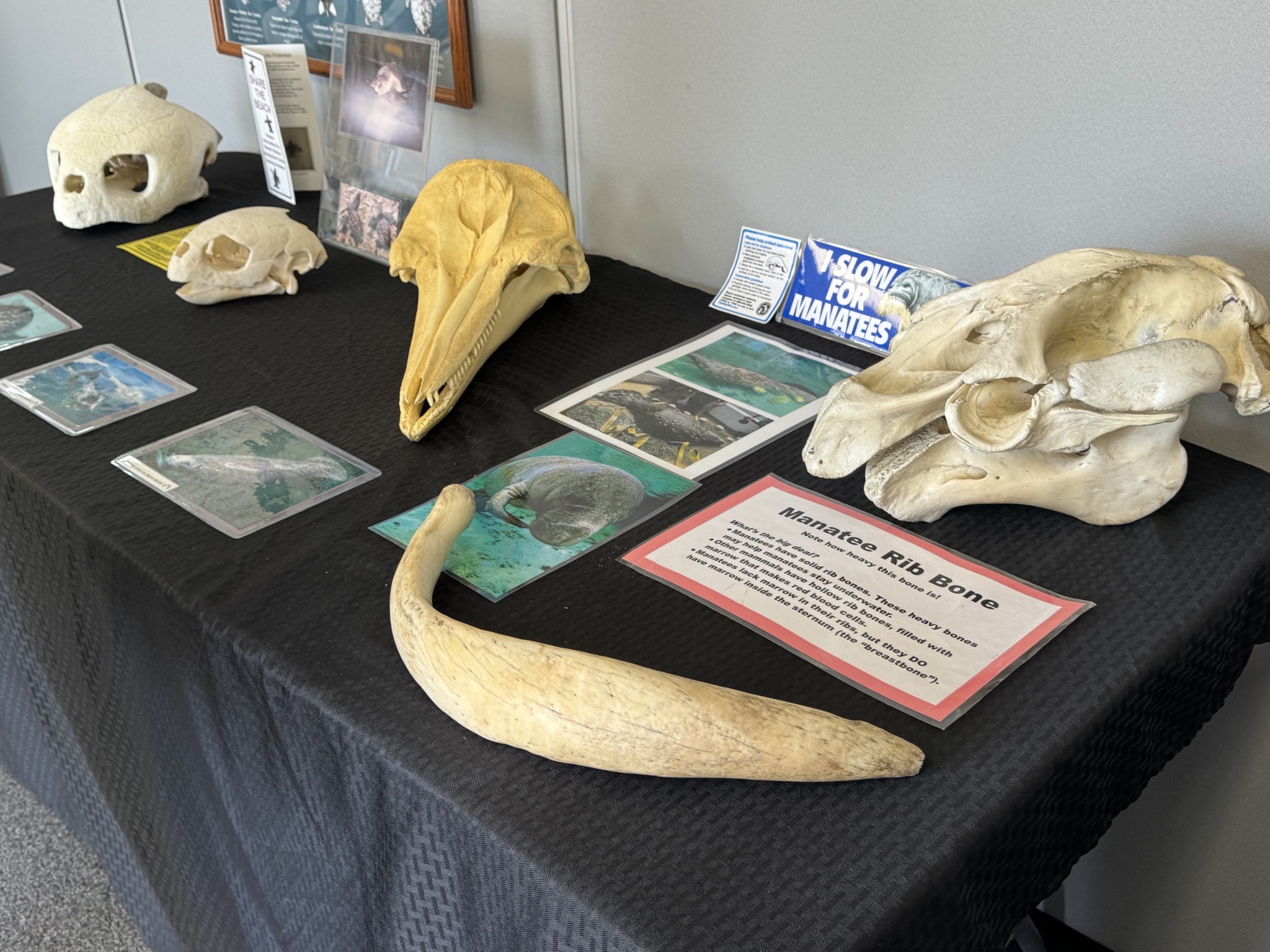 Gulf Coast Visitor Center