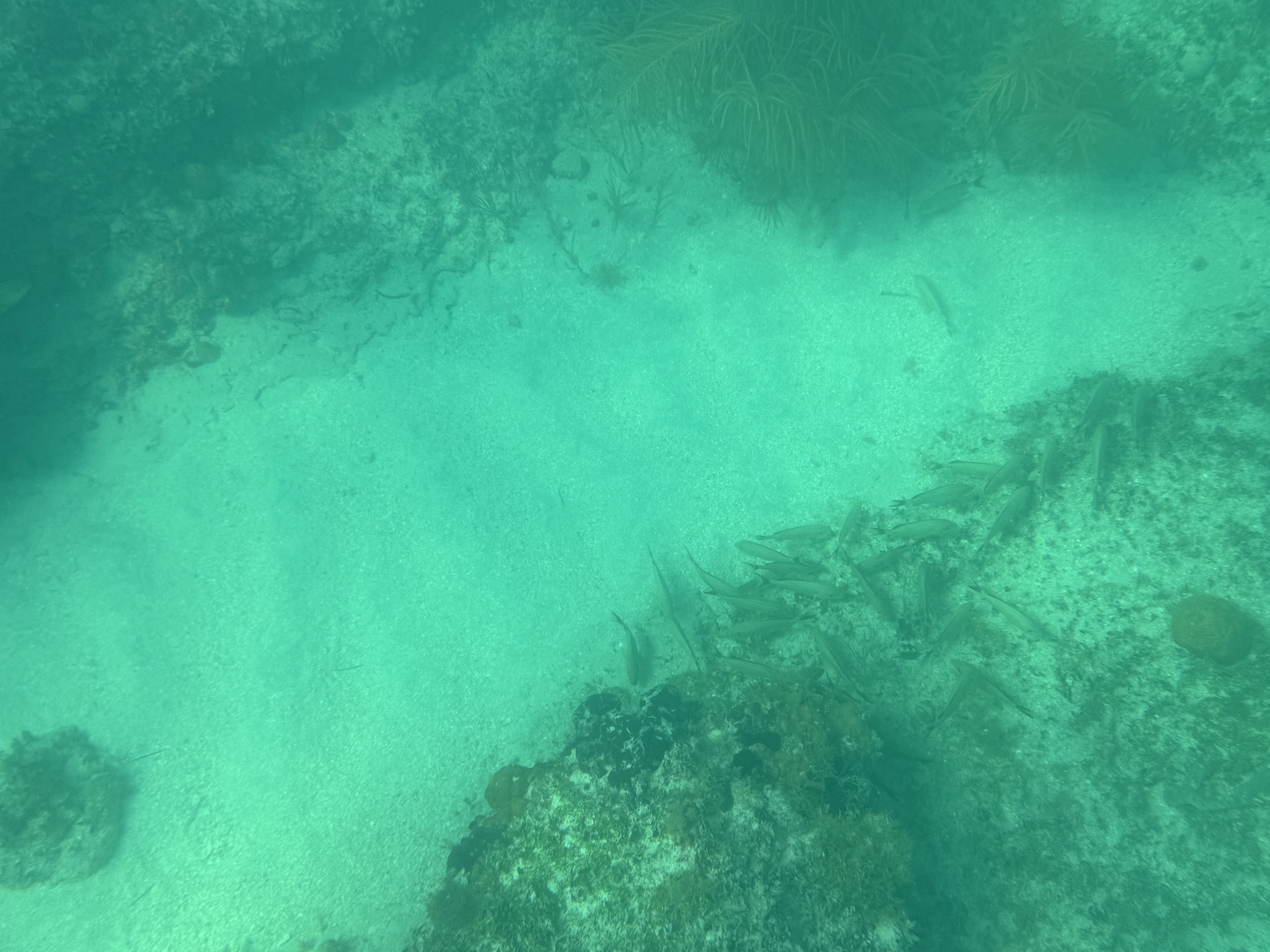 Underwater