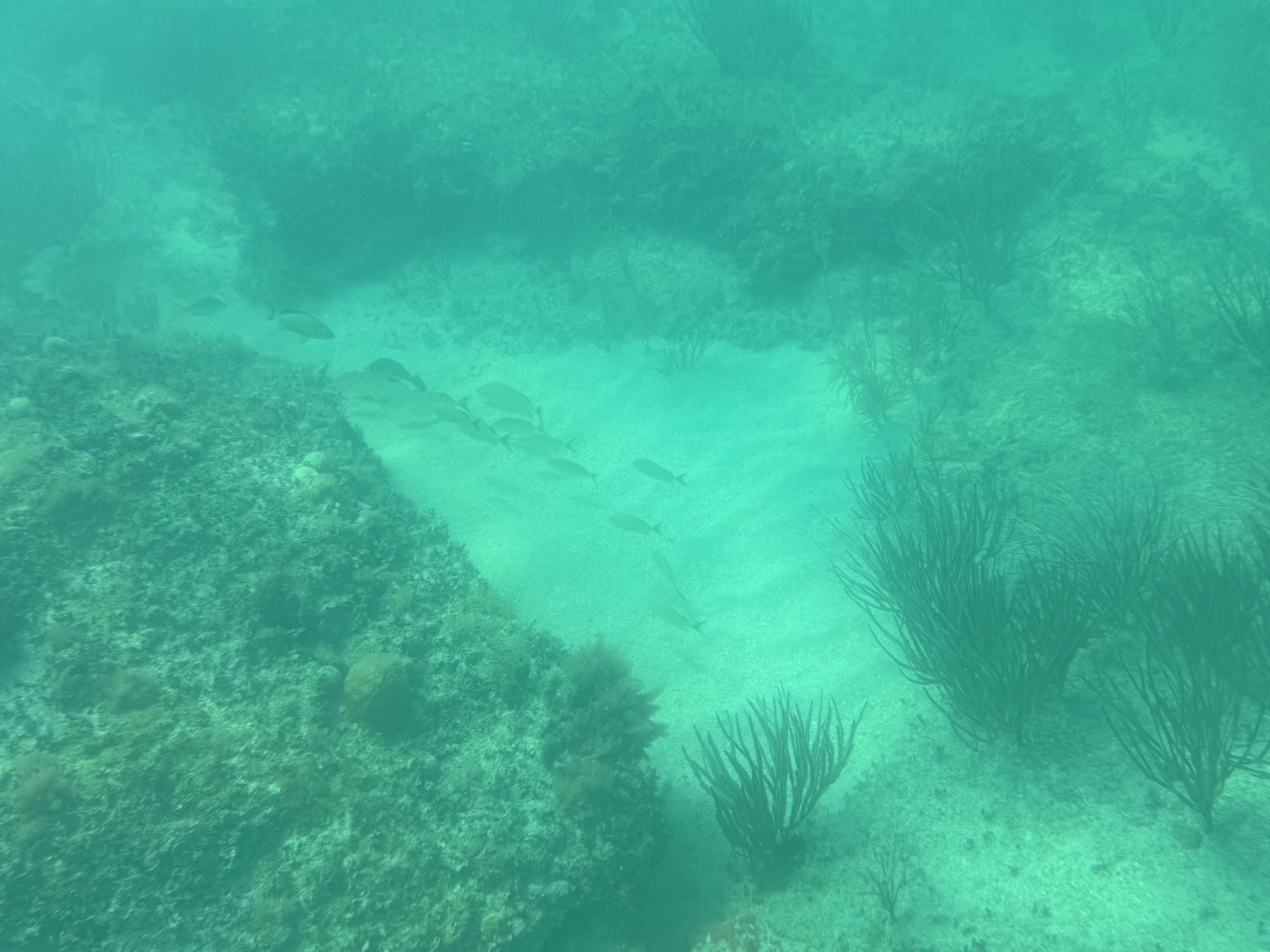 Underwater