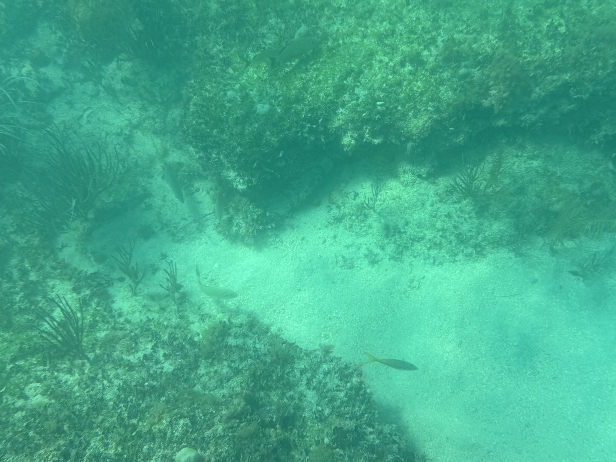 Underwater
