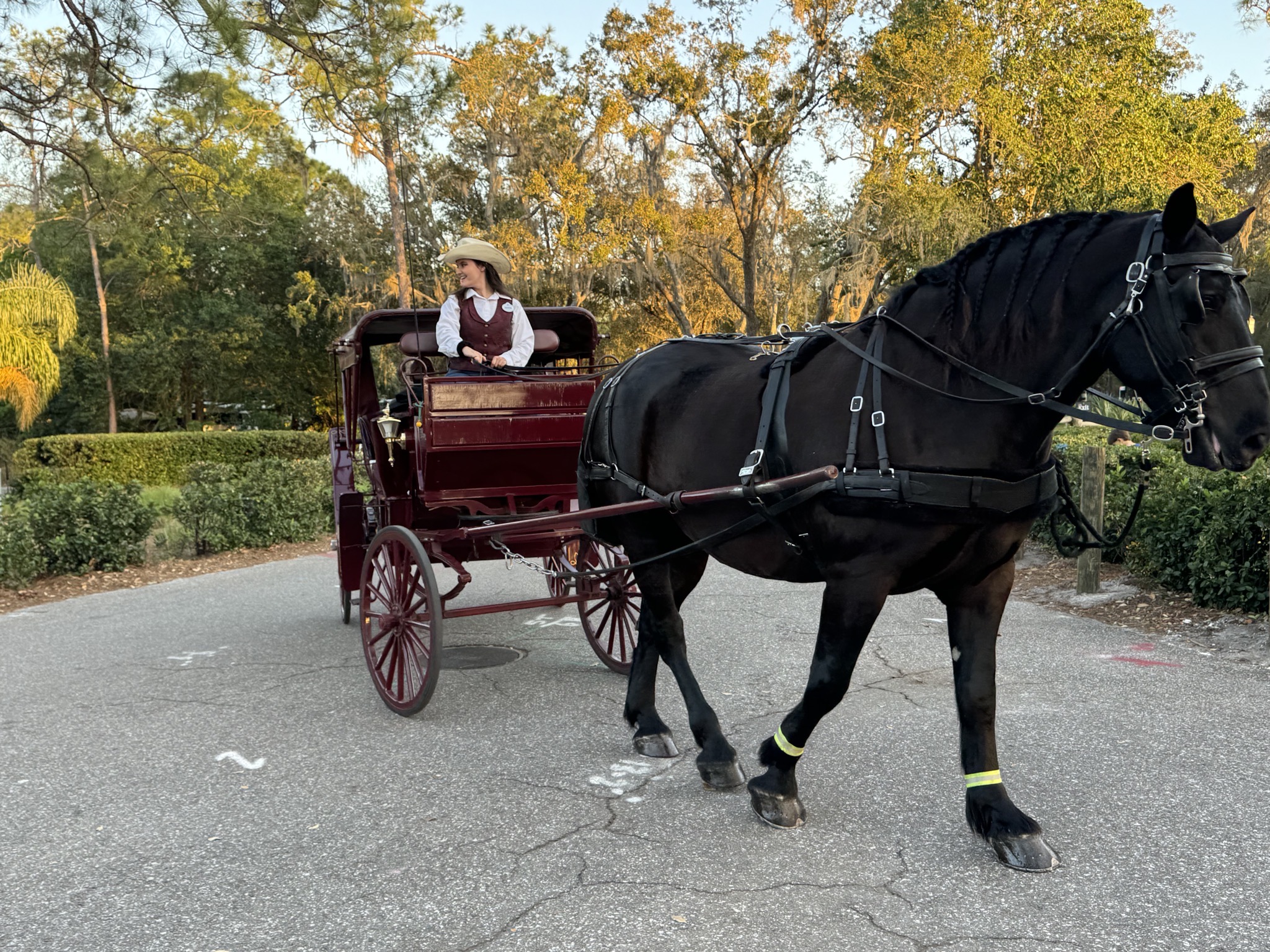 Horse and cart