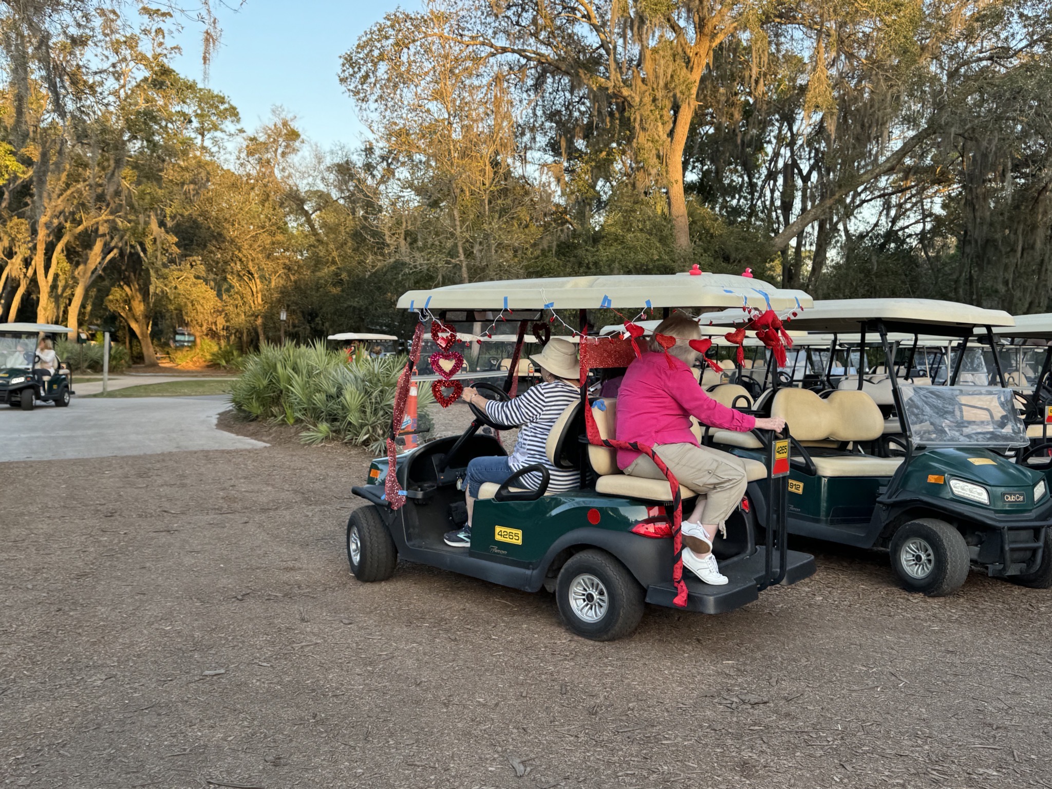 Decorated golf carts