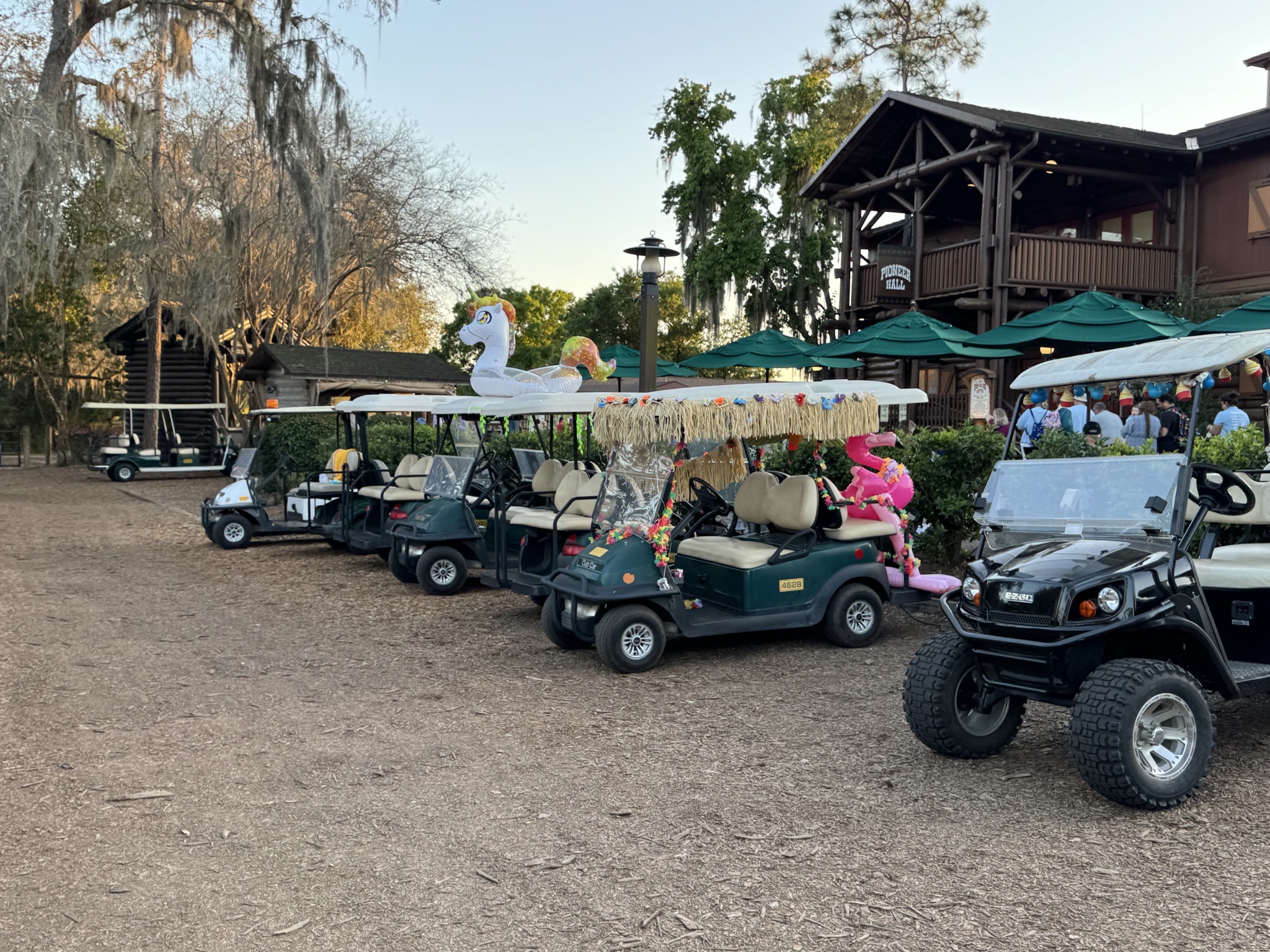 Decorated golf carts