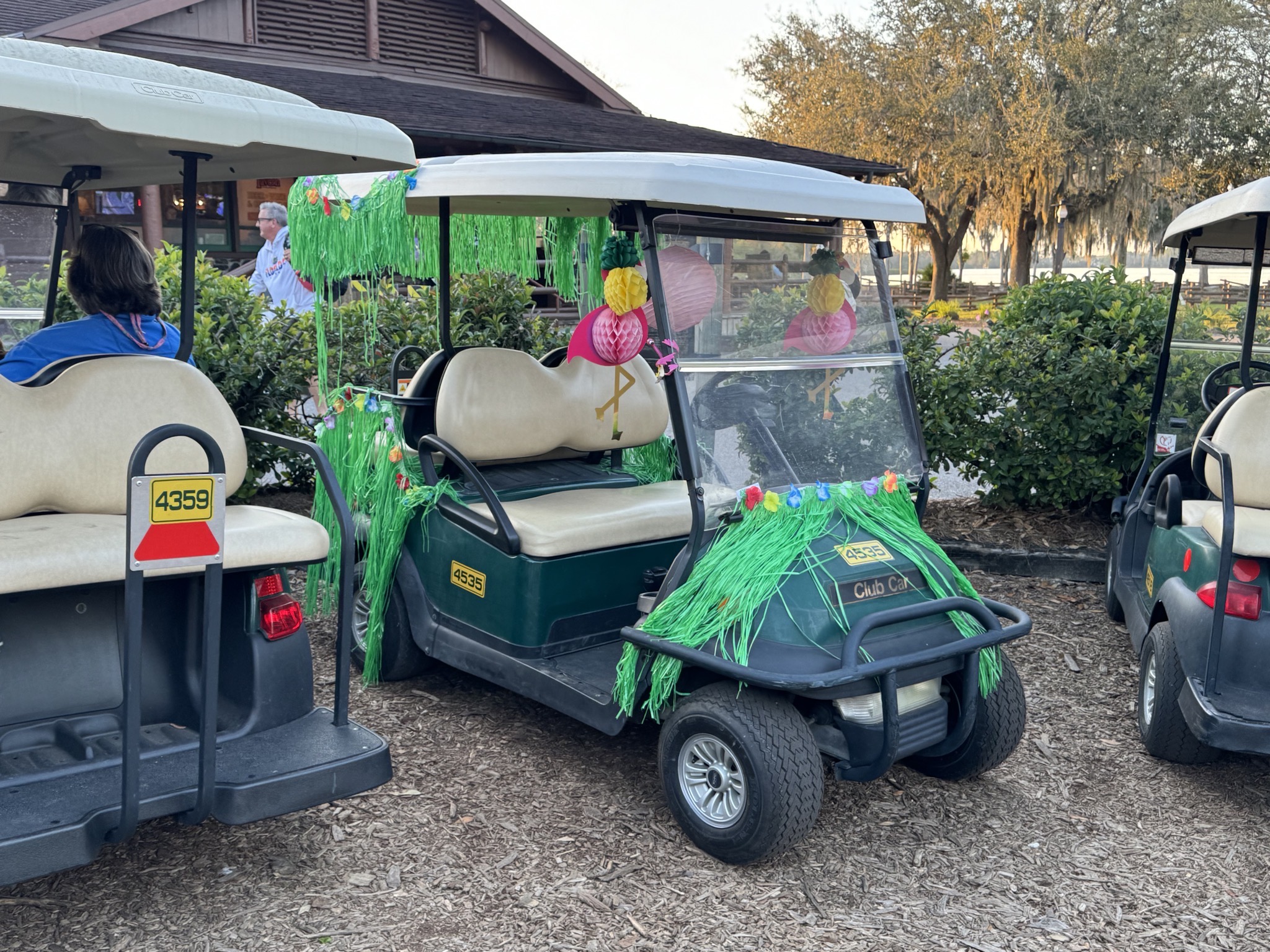 Decorated golf carts